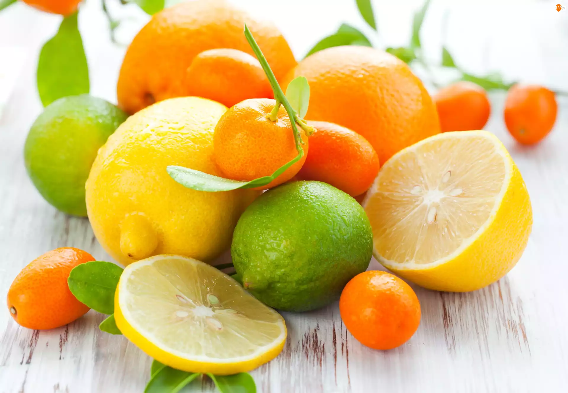 Cytrusy, Cytryny, Pomarańcze, Owoce, Mandarynka, Kumkwaty, Limonki