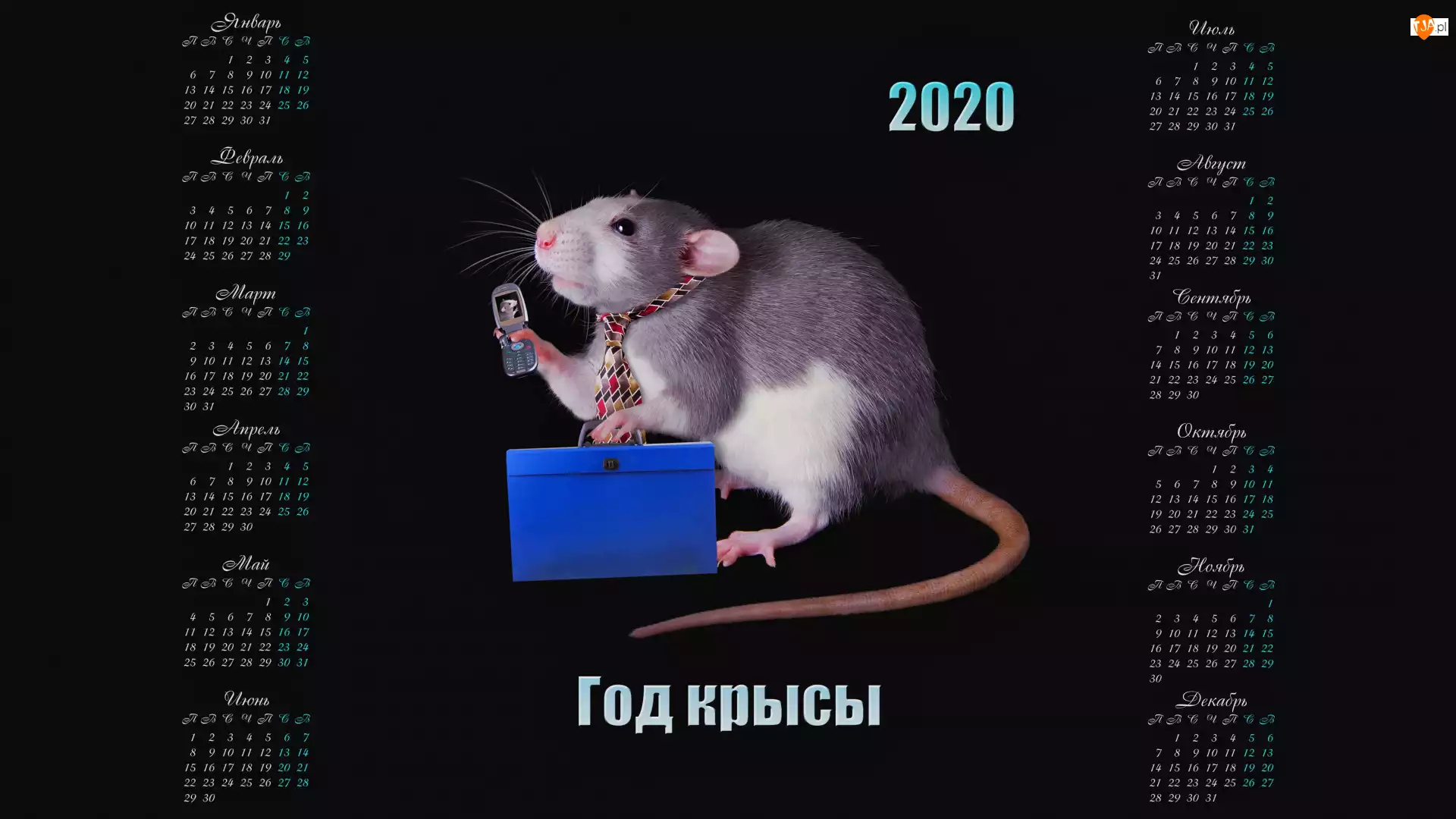 2020, Kalendarz, Krawat, Teczka, Szczur, Telefon