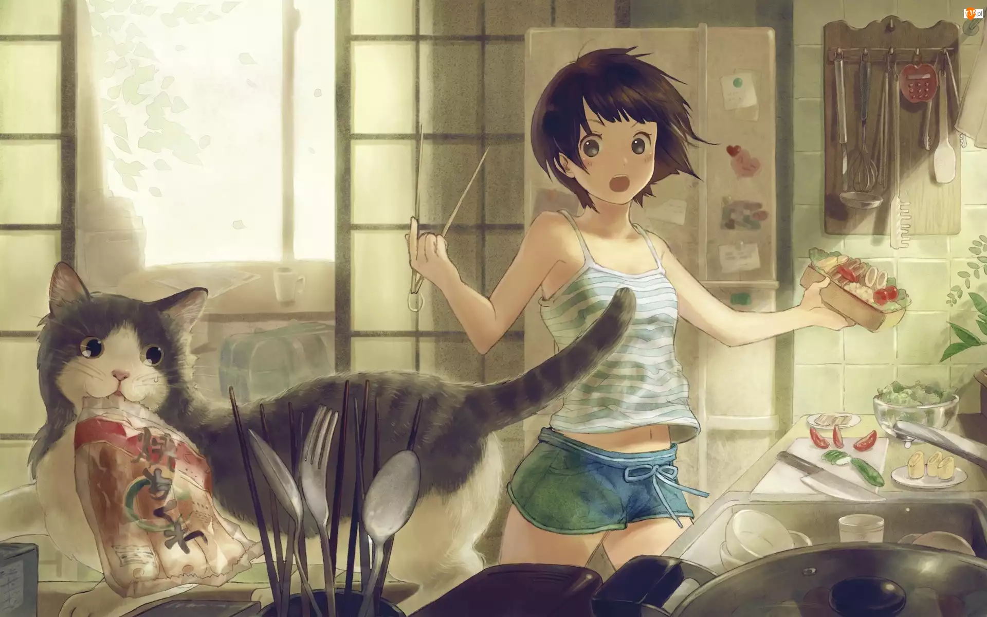 Dziewczyna, Manga, Anime, Kot