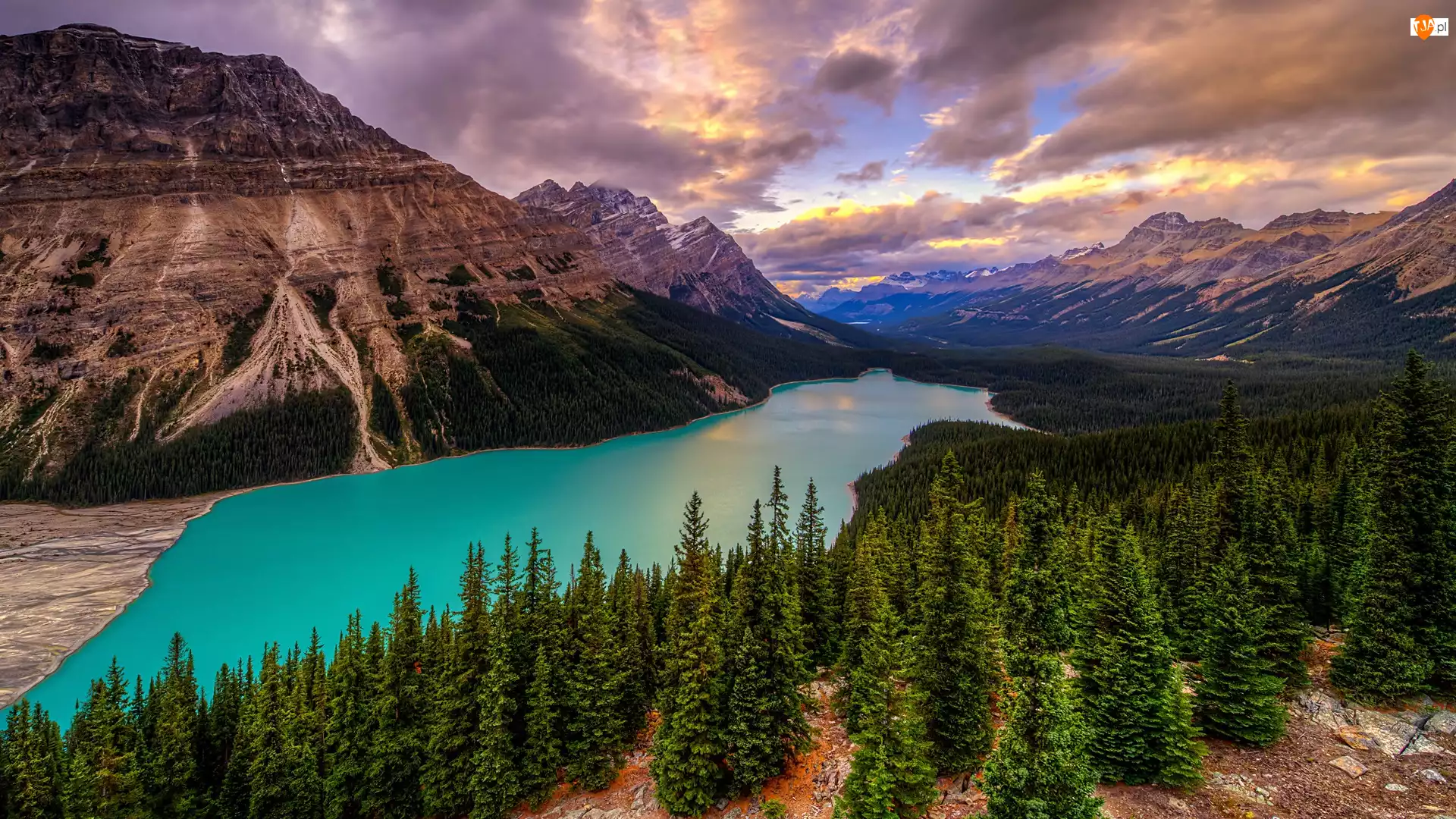 Kanada, Canadian Rockies, Alberta, Drzewa, Park Narodowy Banff, Chmury, Jezioro Peyto Lake, Góry, Lasy