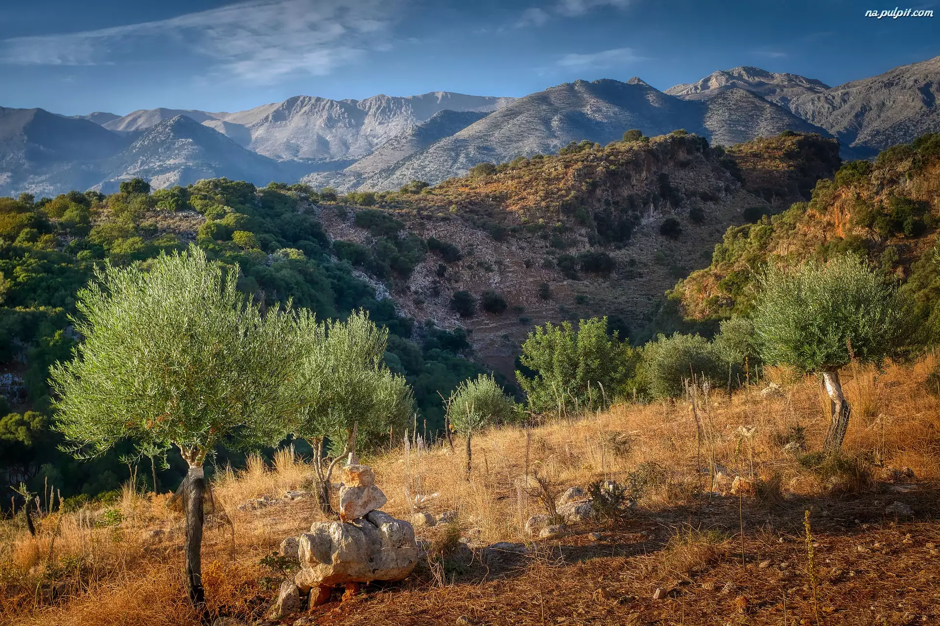 Grecja, Drzewa oliwne, Góry, Kreta