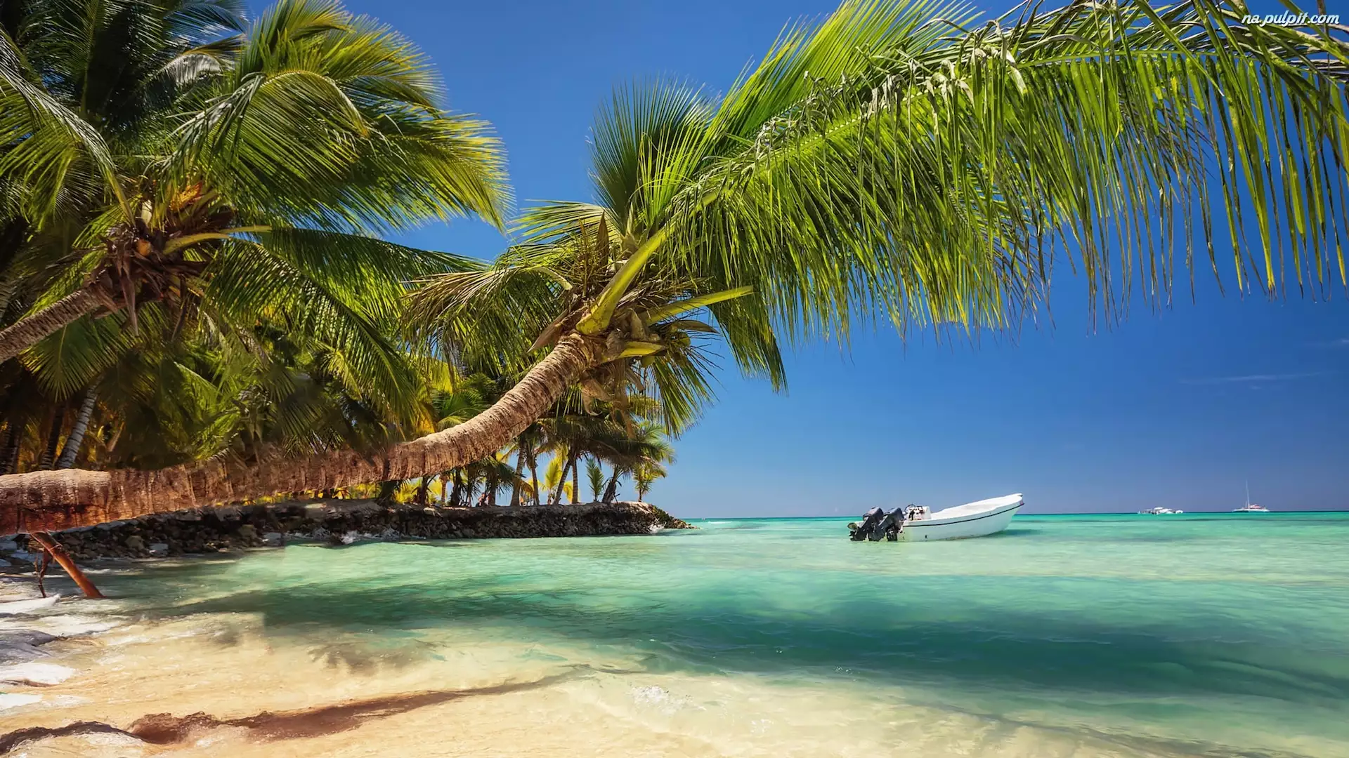 Plaża, Morze, Motorówka, Dominikana, Palmy, Punta Cana