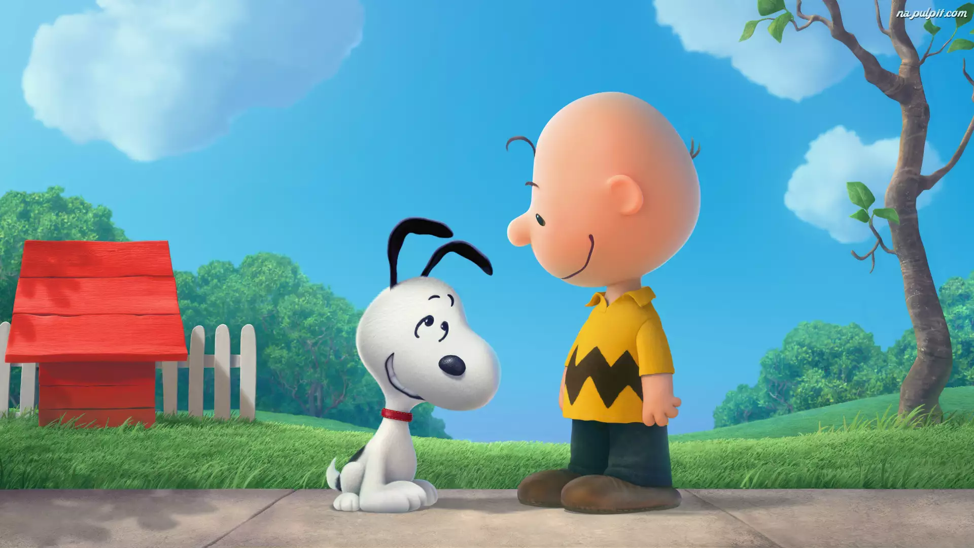 Fistaszki, Film animowany, Snoopy, Charlie Brown, Pies, ChĹopiec