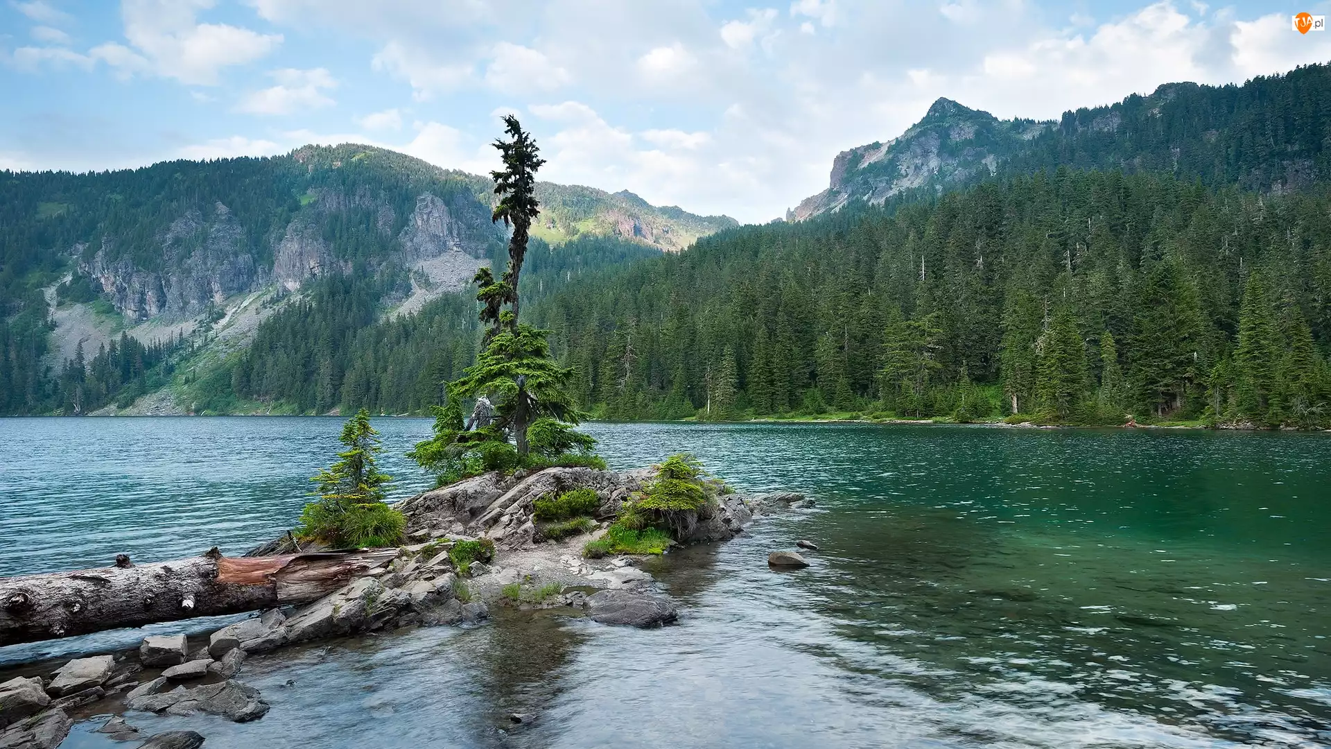 Jezioro, Mowich Lake, Stany Zjednoczone, Góry, Stan Waszyngton, Park Narodowy Mount Rainier, Drzewa