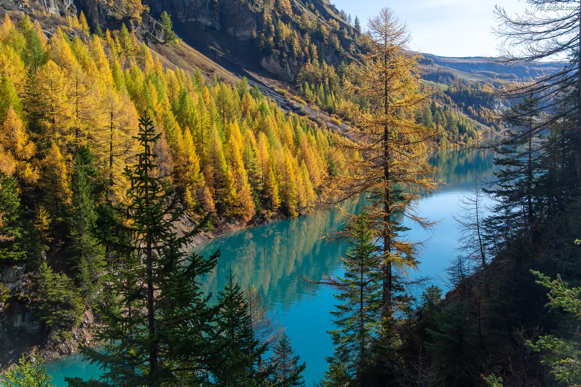 Drzewa, Jesień, Góry, Valais, Jezioro, Alpy, Szwajcaria, Lac de Tseuzier