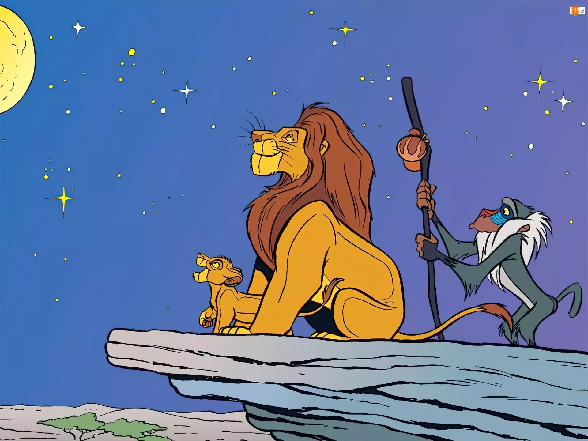gwiazdy, Król Lew, The Lion King, pawian