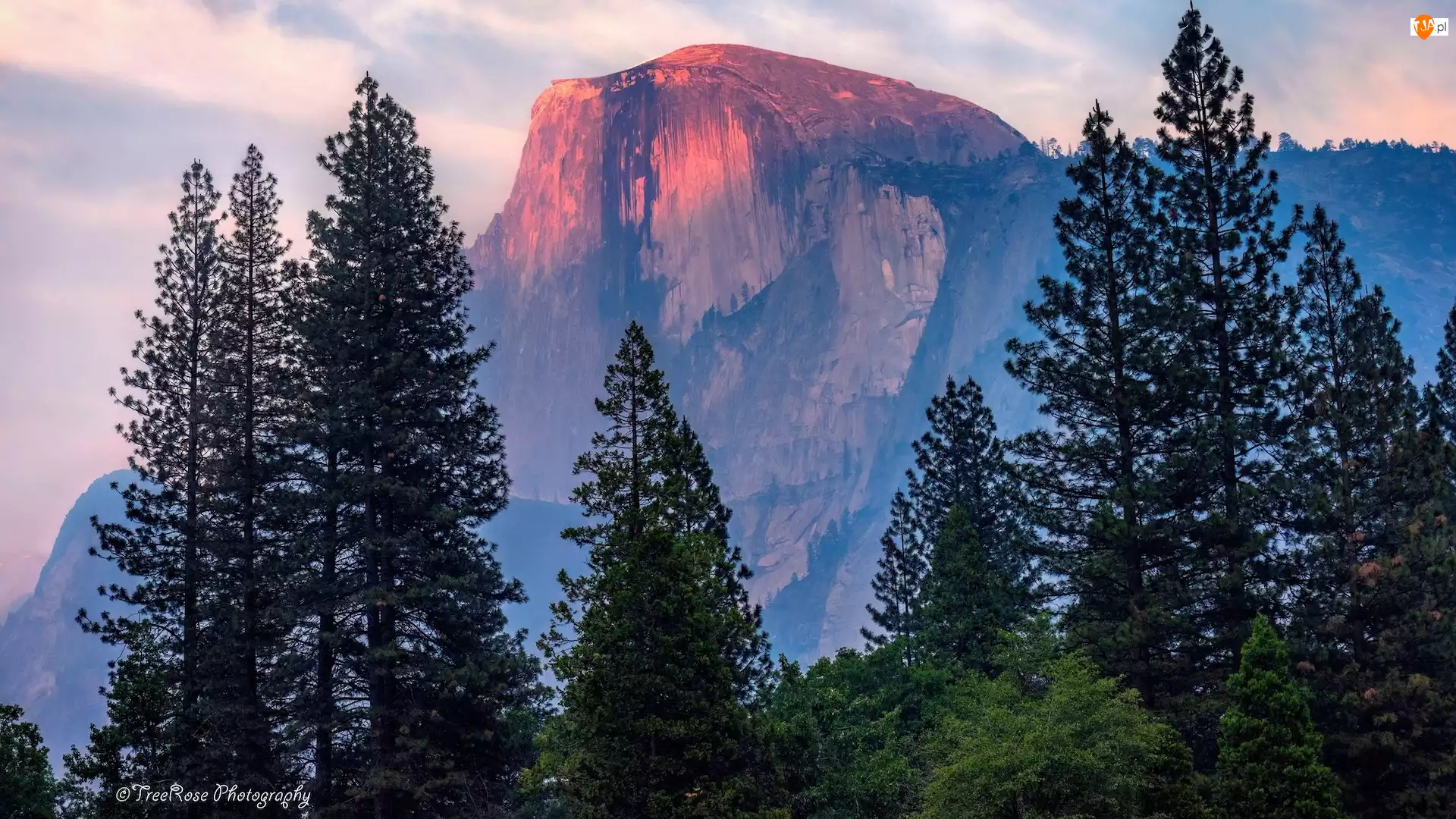 Kalifornia, Stany Zjednoczone, Góra, Drzewa, Park Narodowy Yosemite, Half Dome