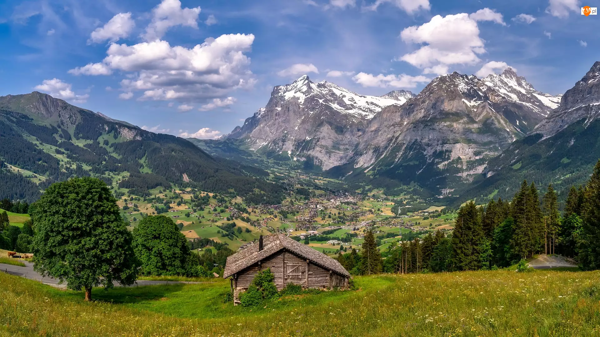 Góry, Alpy, Szwajcaria, Lato, Grindelwald, Dolina, Dom