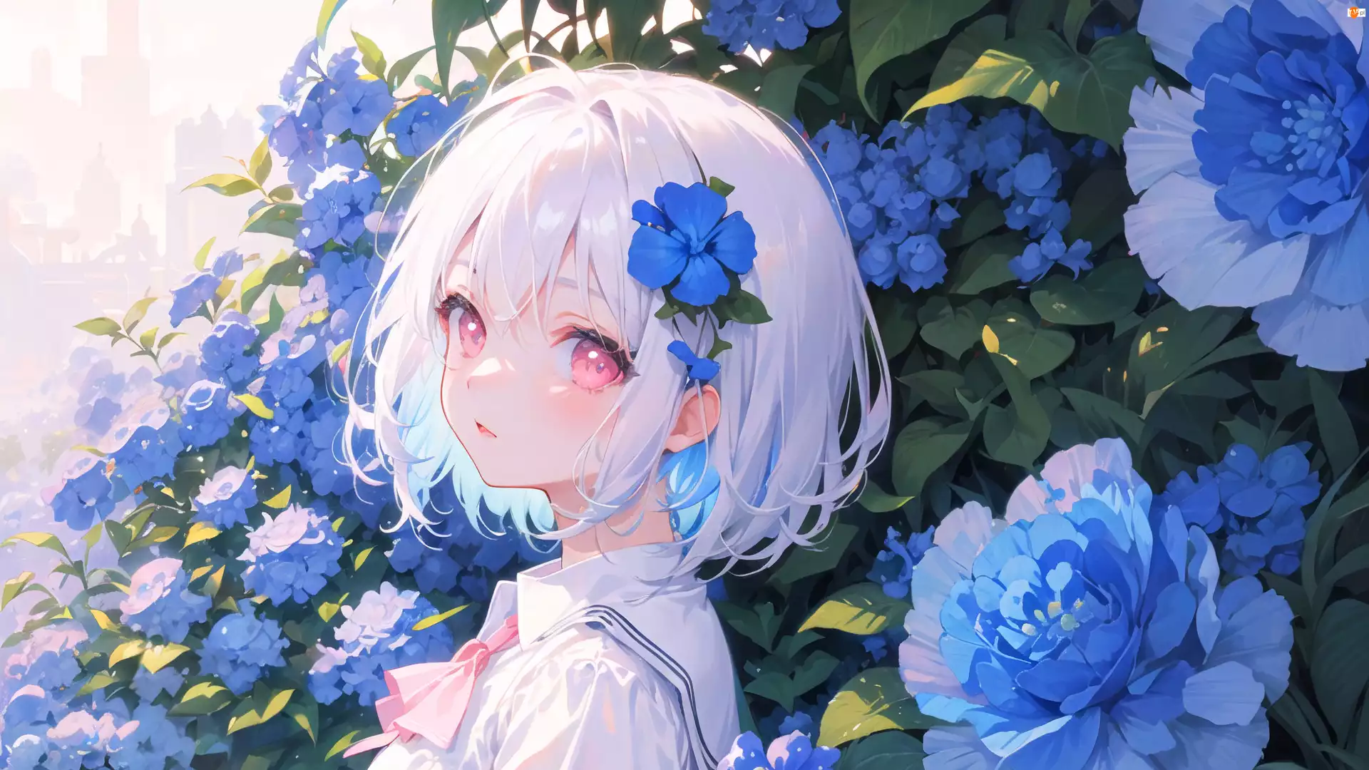 Niebieskie, Anime, Spojrzenie, Dziewczyna, Kwiaty