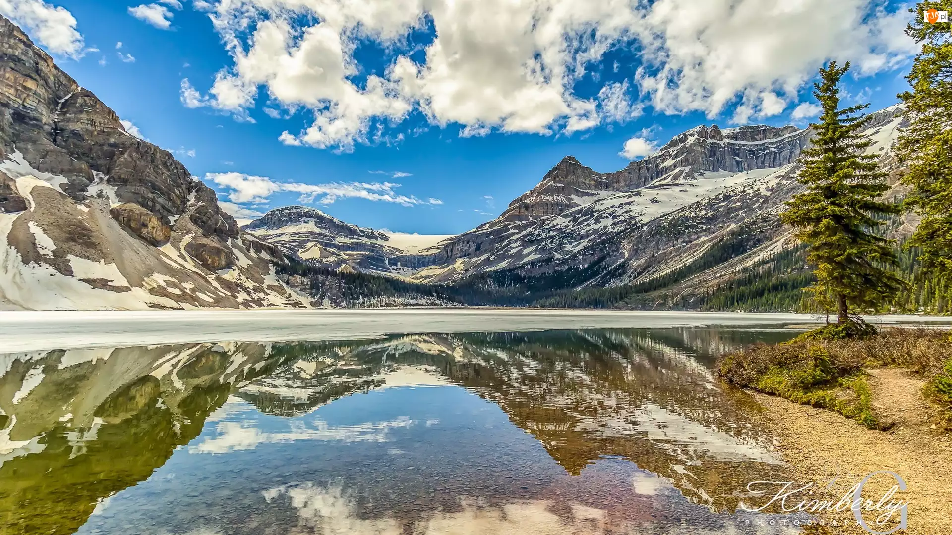 Jezioro, Bow Lake, Kanada, Góry, Park Narodowy Banff, Odbicie, Drzewa