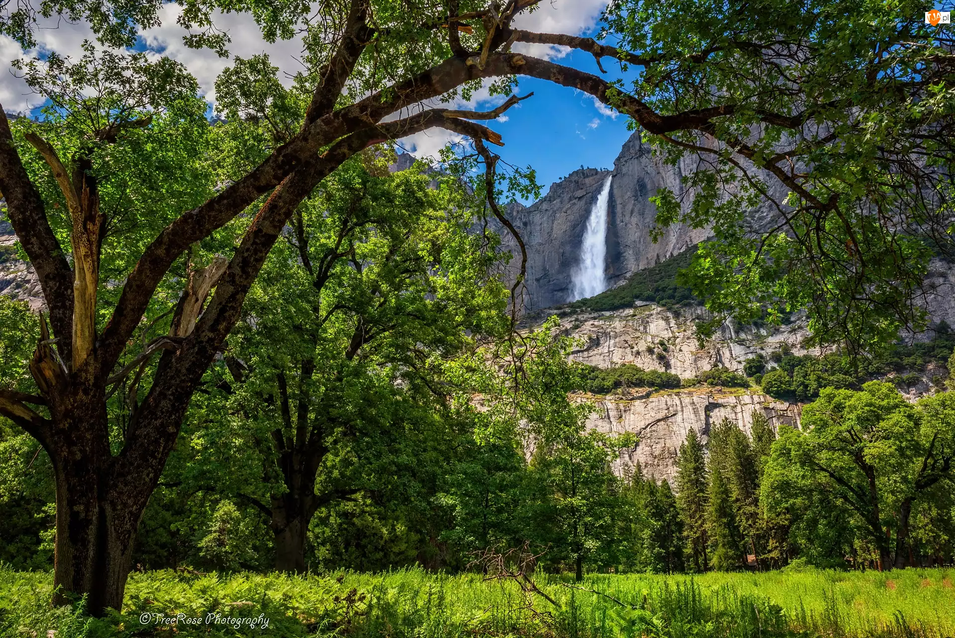 Kalifornia, Stany Zjednoczone, Wodospad, Góry, Drzewa, Park Narodowy Yosemite