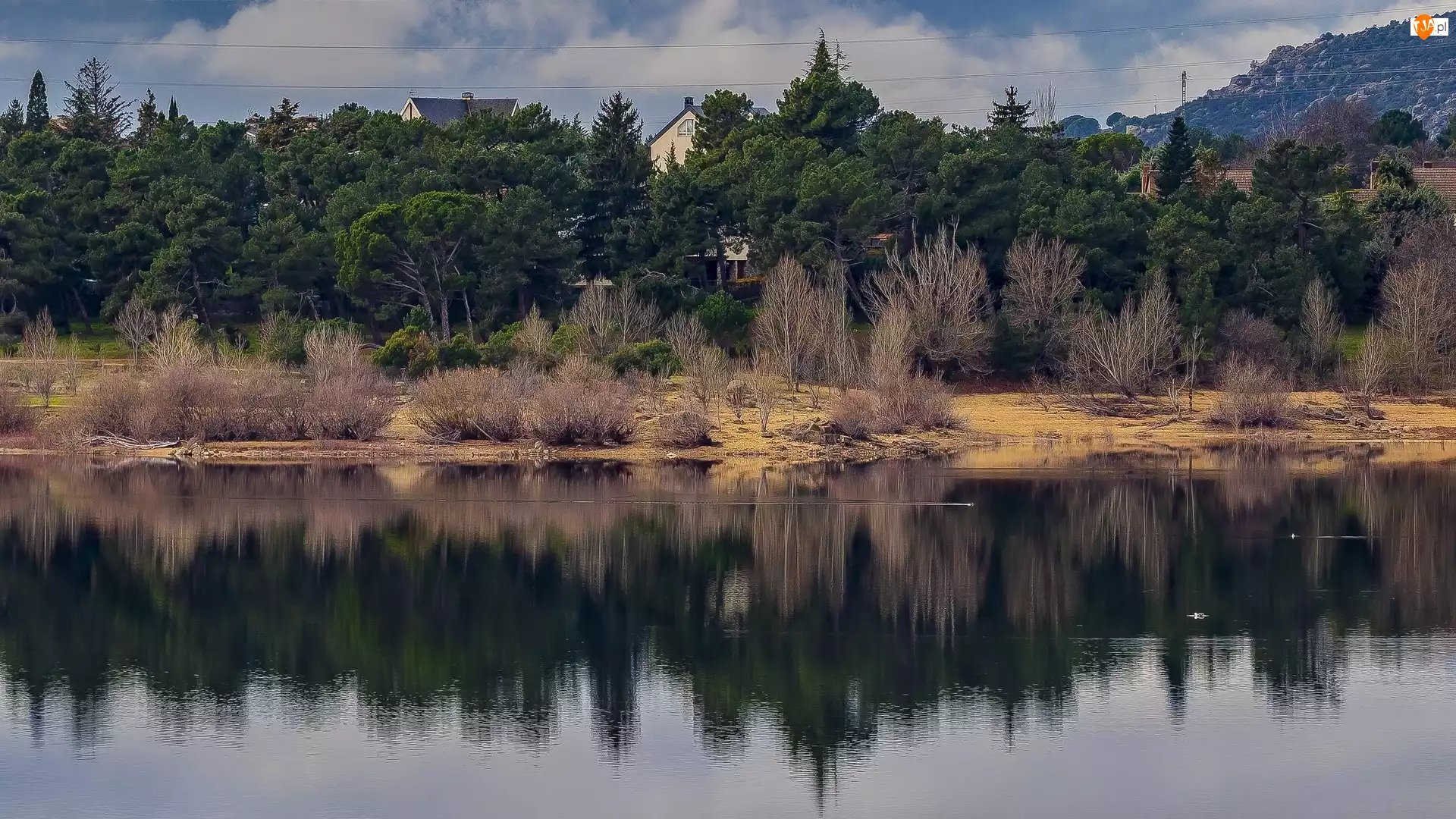 Domy, Zbiornik zaporowy, Hiszpania, Drzewa, Park Narodowy Sierra de Guadarrama, Navacerrada, Jezioro