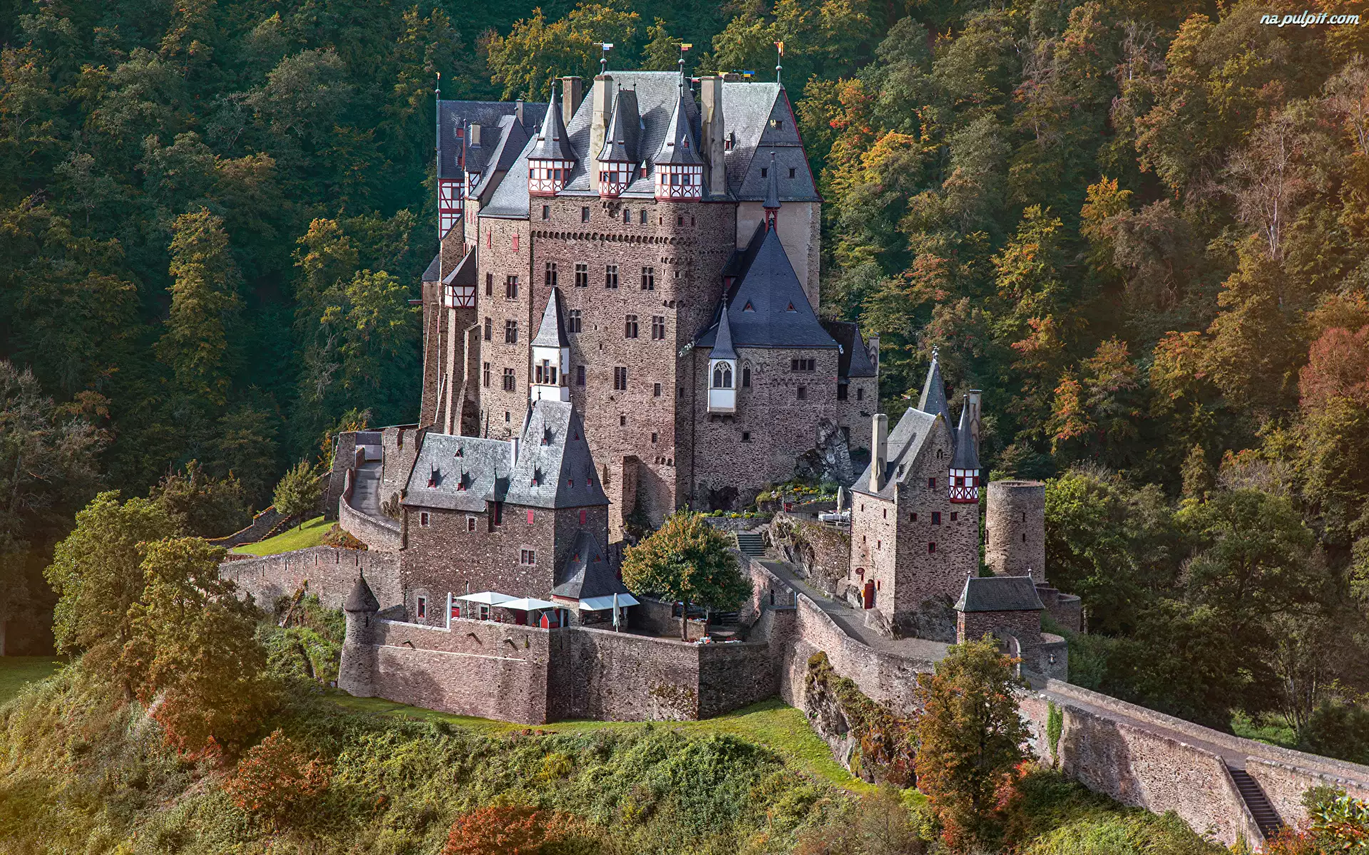 Zamek Eltz, Niemcy, Las, Jesień, Wieża, Drzewa