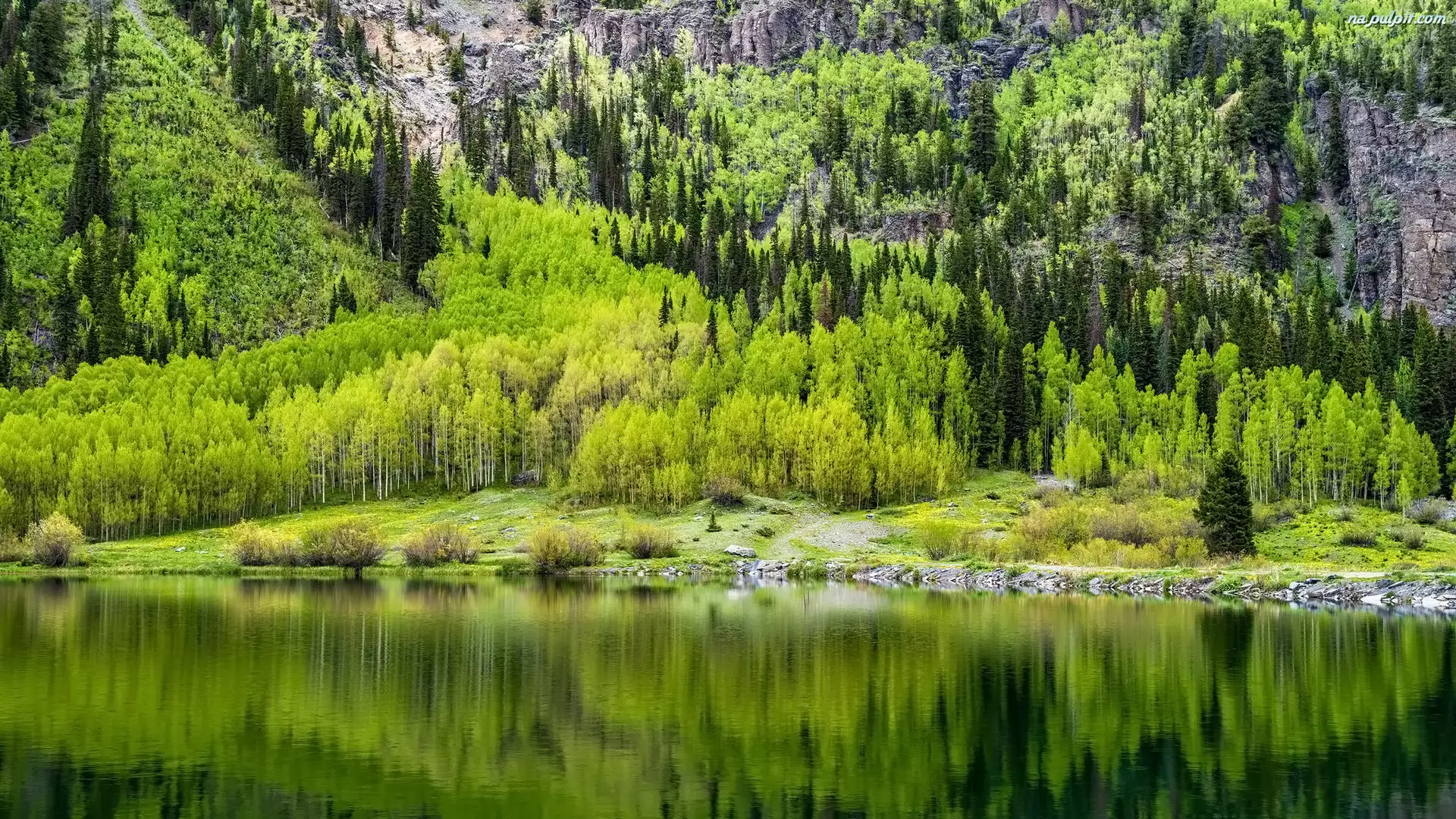 Crystal Lake, Jezioro, Stany Zjednoczone, Góry, Kolorado, Drzewa
