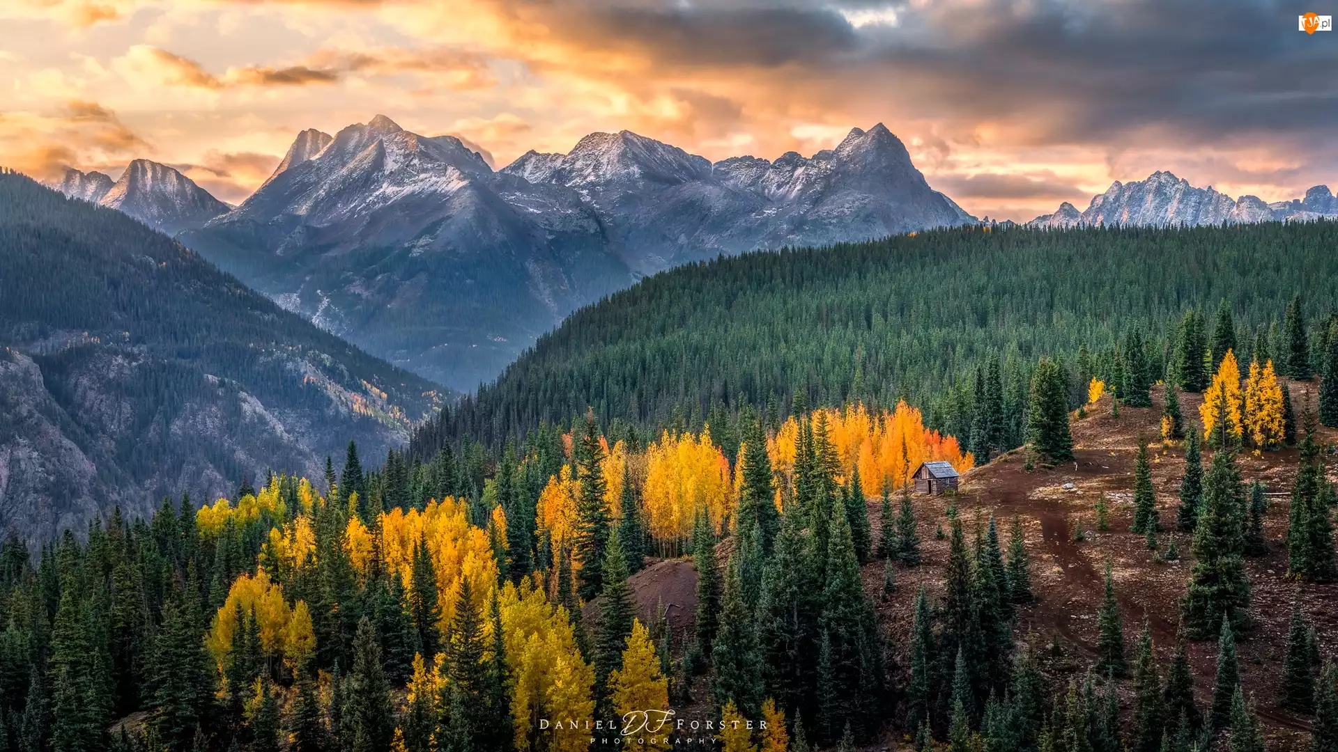 Drzewa, Stany Zjednoczone, San Juan Mountains, Lasy, Kolorado, Jesień, Chata, Góry