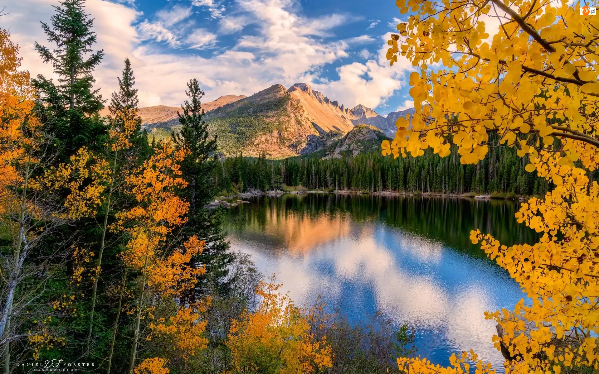 Drzewa, Góry, Jezioro, Jesień