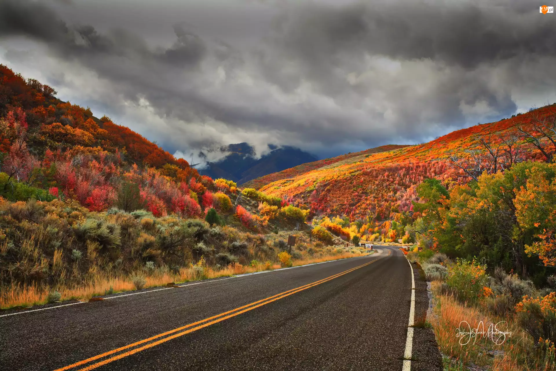 Loop Road, Nebo, Kolorowe, Chmury, Utah, Drzewa, Góra, Stany Zjednoczone, Las, Droga, Jesień