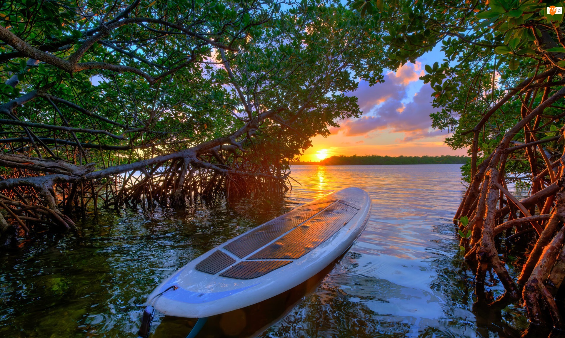 Floryda, Jezioro, ZachĂłd sĹoĹca, Stany Zjednoczone, Drzewa, Deska surfingowa, Lake Worth Lagoon