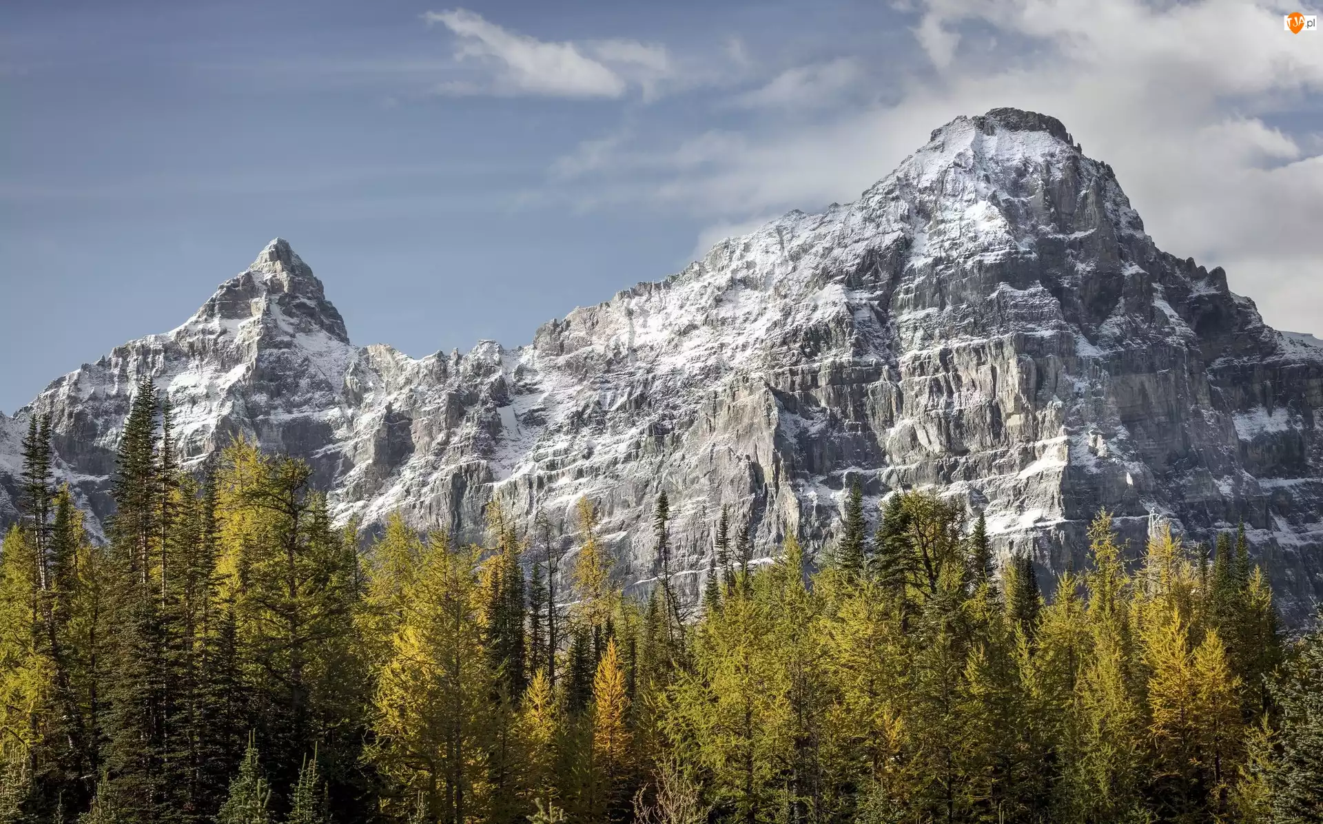 Szczyt Castle Mountain, Drzewa, Park Narodowy Banff, Kanada, Góry