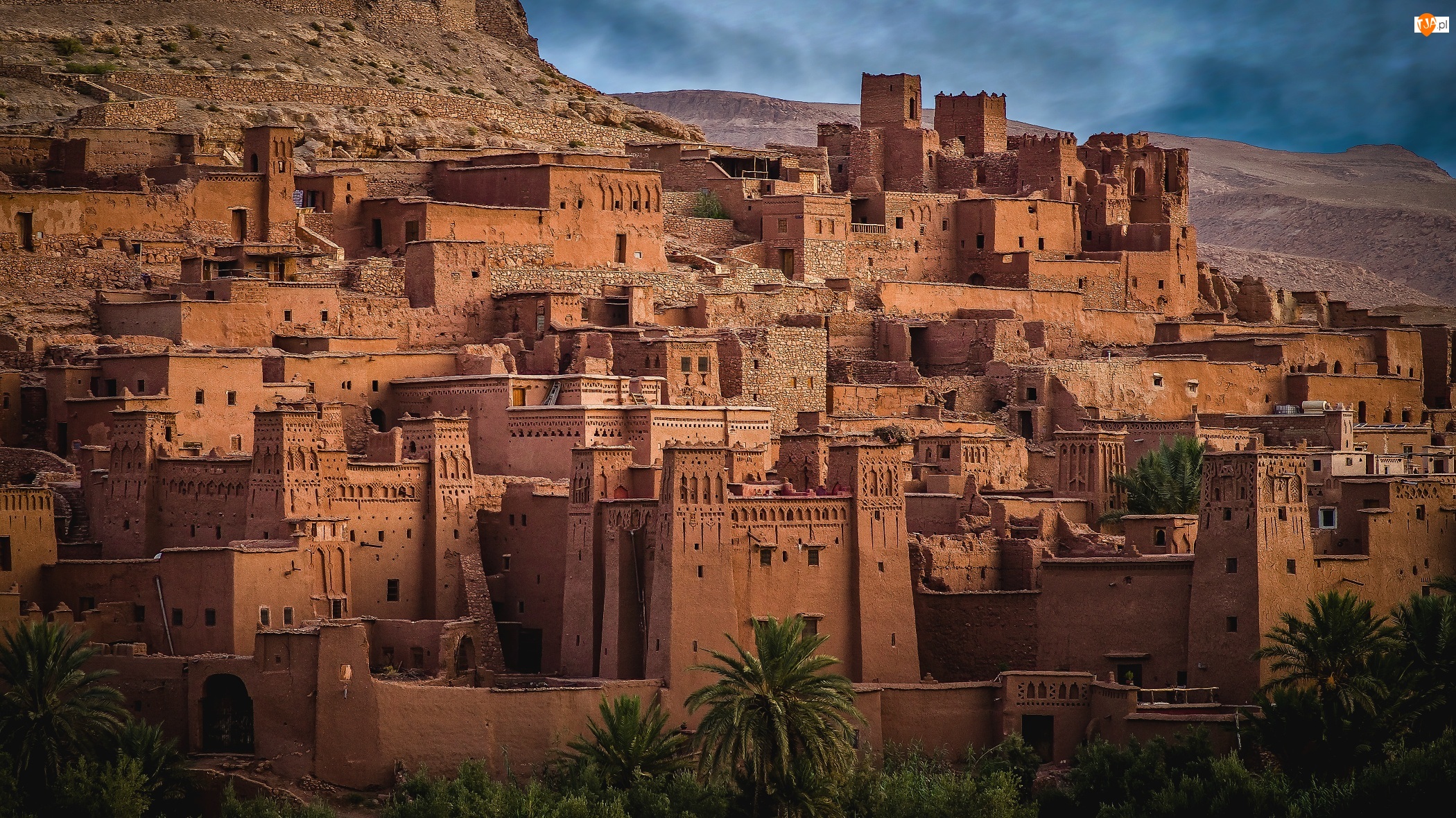 Osada Ajt Bin Haddu, Budowle, Region Sus-Masa-Dara, Maroko, Palmy