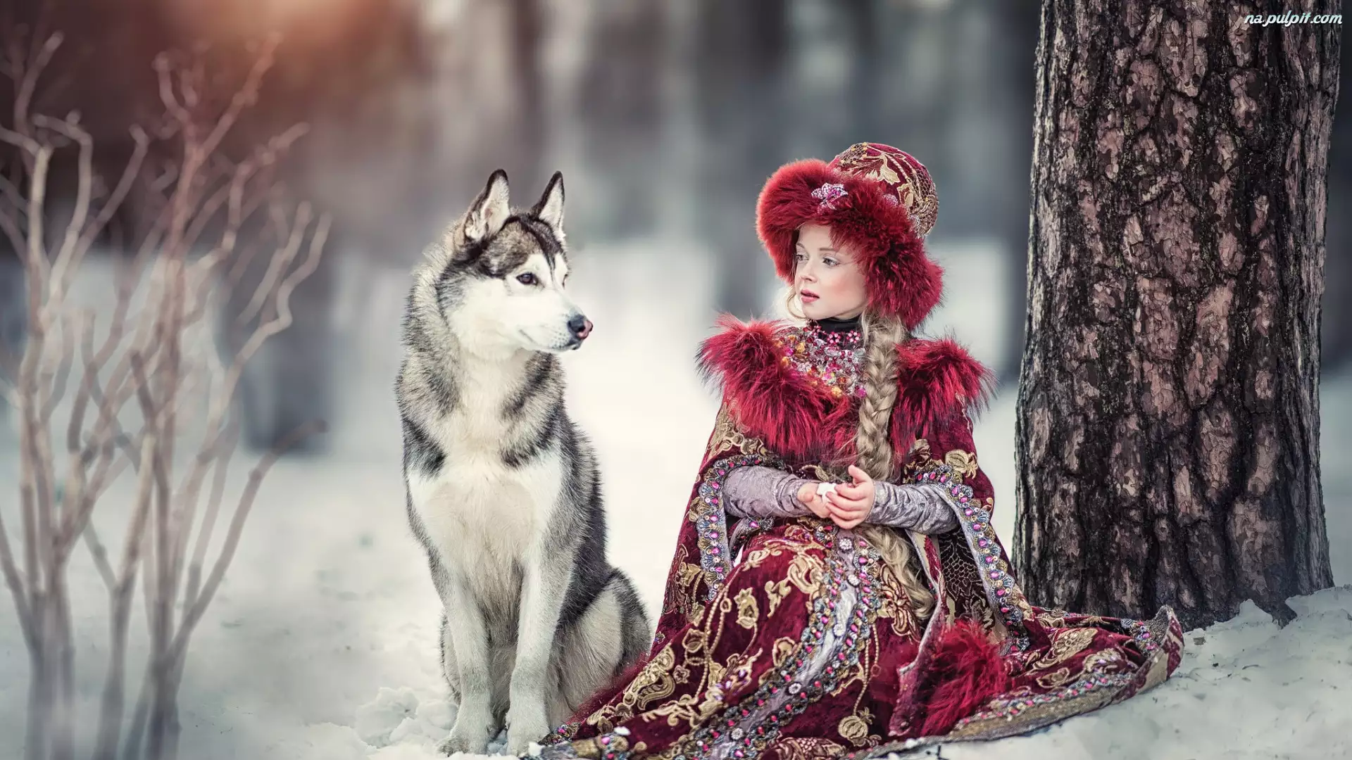 Zima, Siberian husky, Dziewczynka, Pies, Drzewo