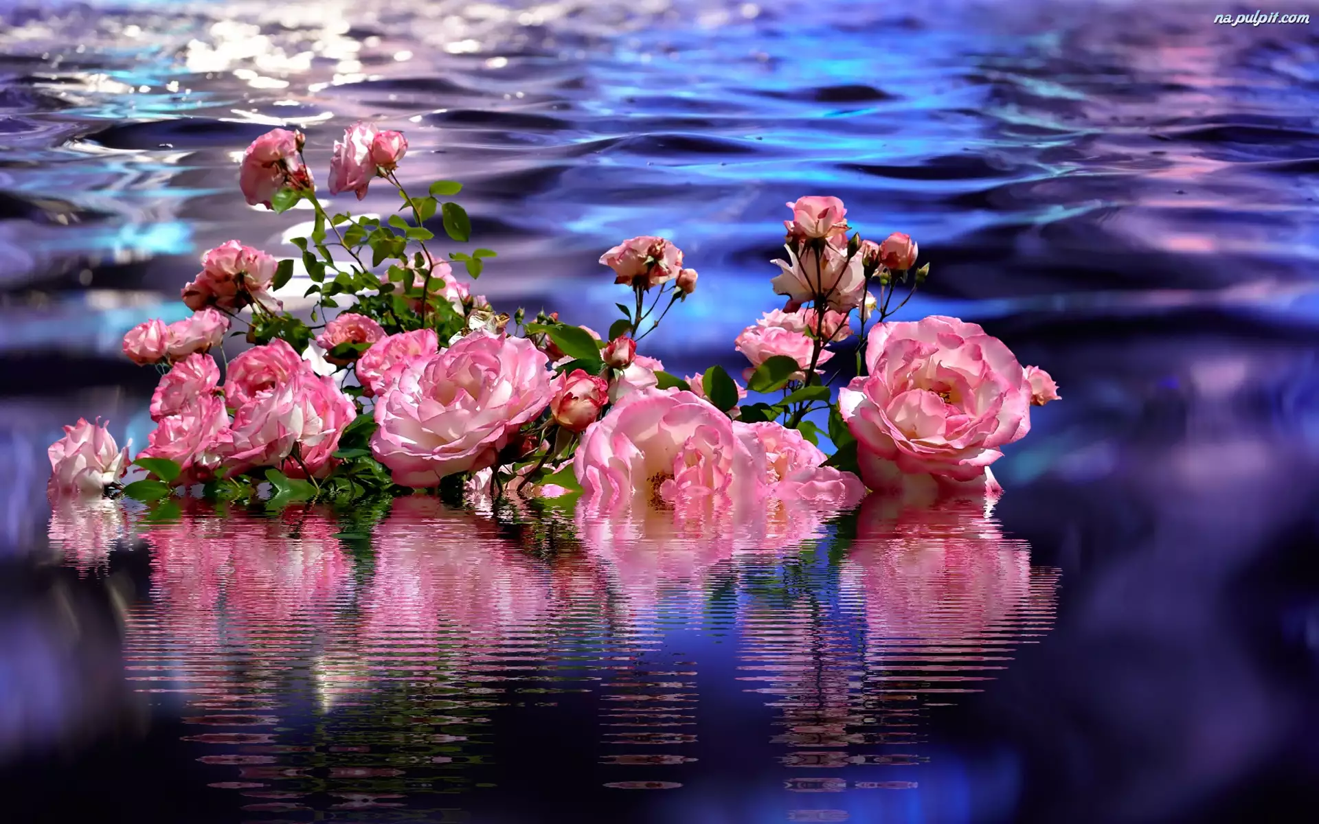 Woda, Grafika 2D, Kwiaty, Róże, Odbicie