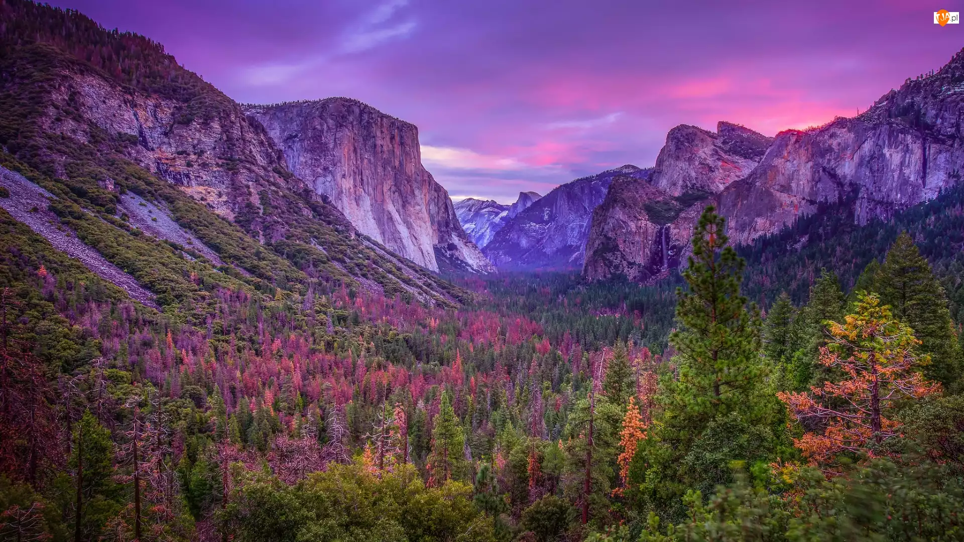 Lasy, Dolina Yosemite Valley, Góry, Stan Kalifornia, Park Narodowy Yosemite, Drzewa, Stany Zjednoczone, Jesień