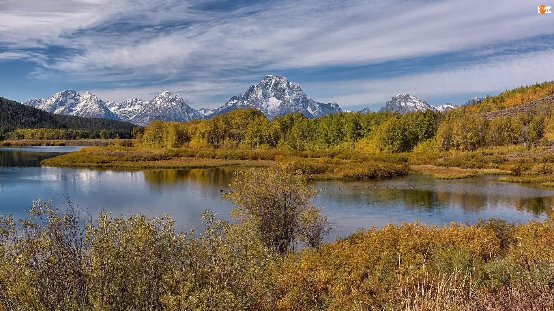 Drzewa, Wyoming, Jesień, Rzeka, Snake River, Park Narodowy Grand Teton, Góry, Stany Zjednoczone, Grand Teton