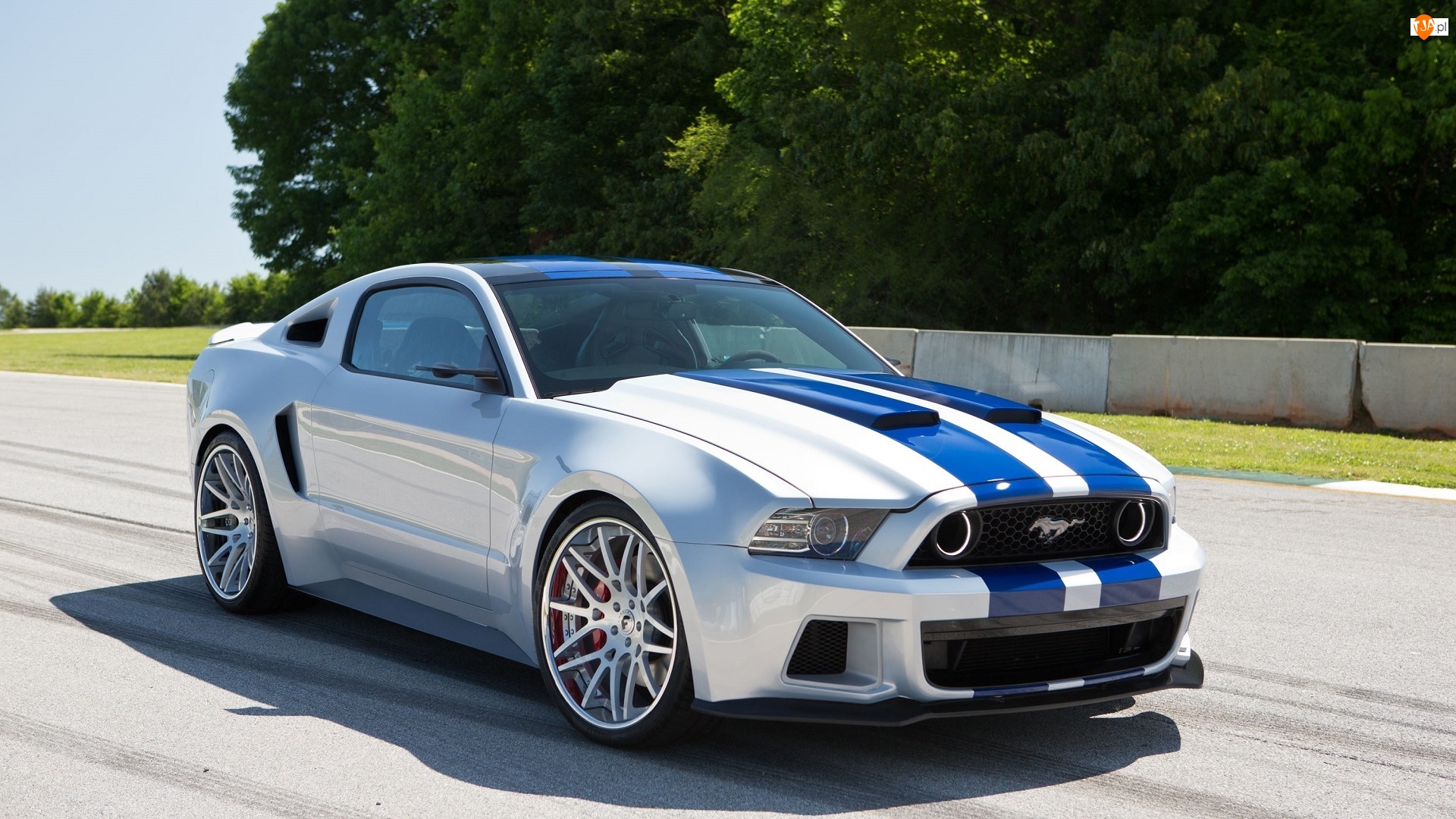 Shelby, Film, Need for Speed, Ford Mustang GT