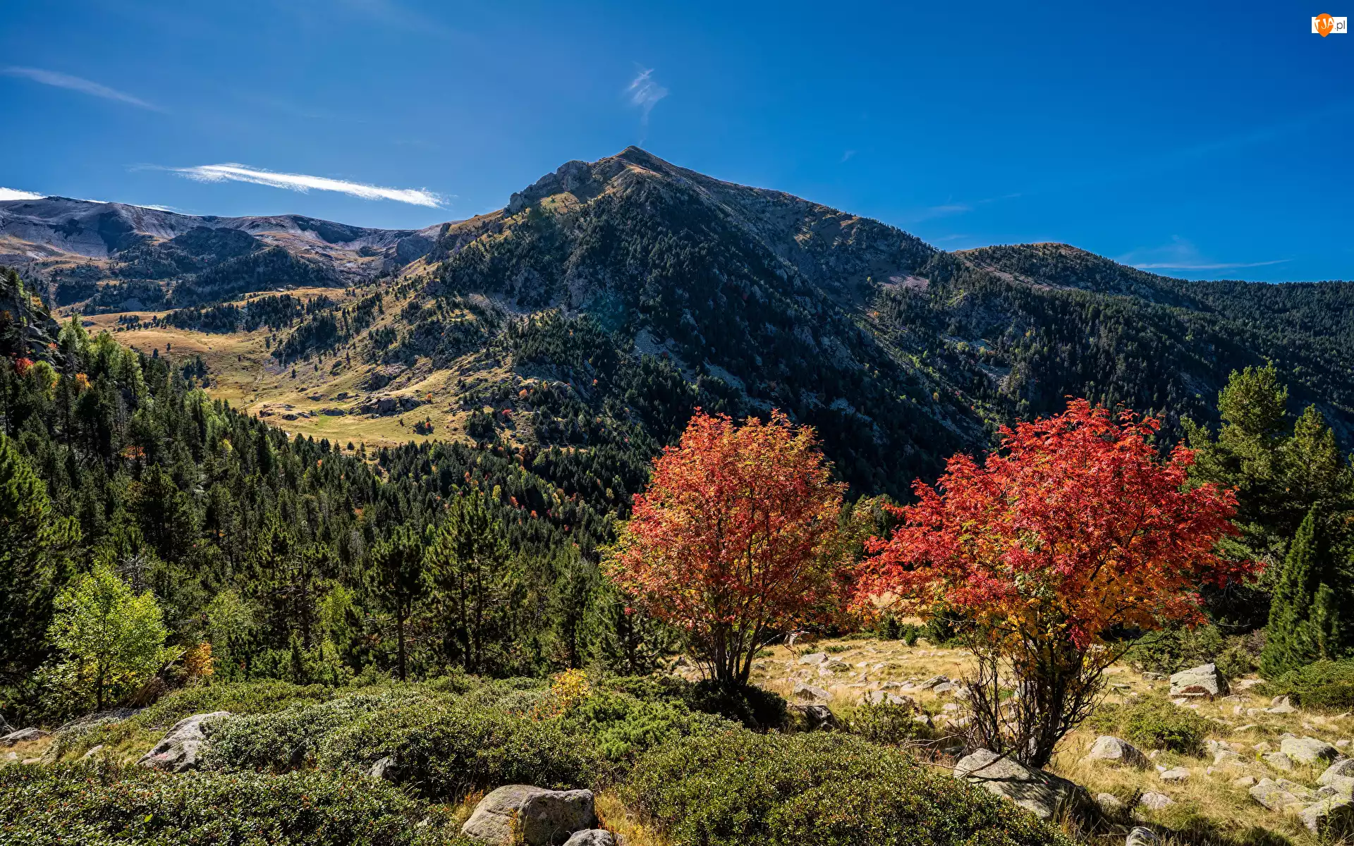 Andora, Pireneje, Escaldes-Engordany, Drzewa, Krzewy, Jesień, Lasy, Góry, Kolorowe