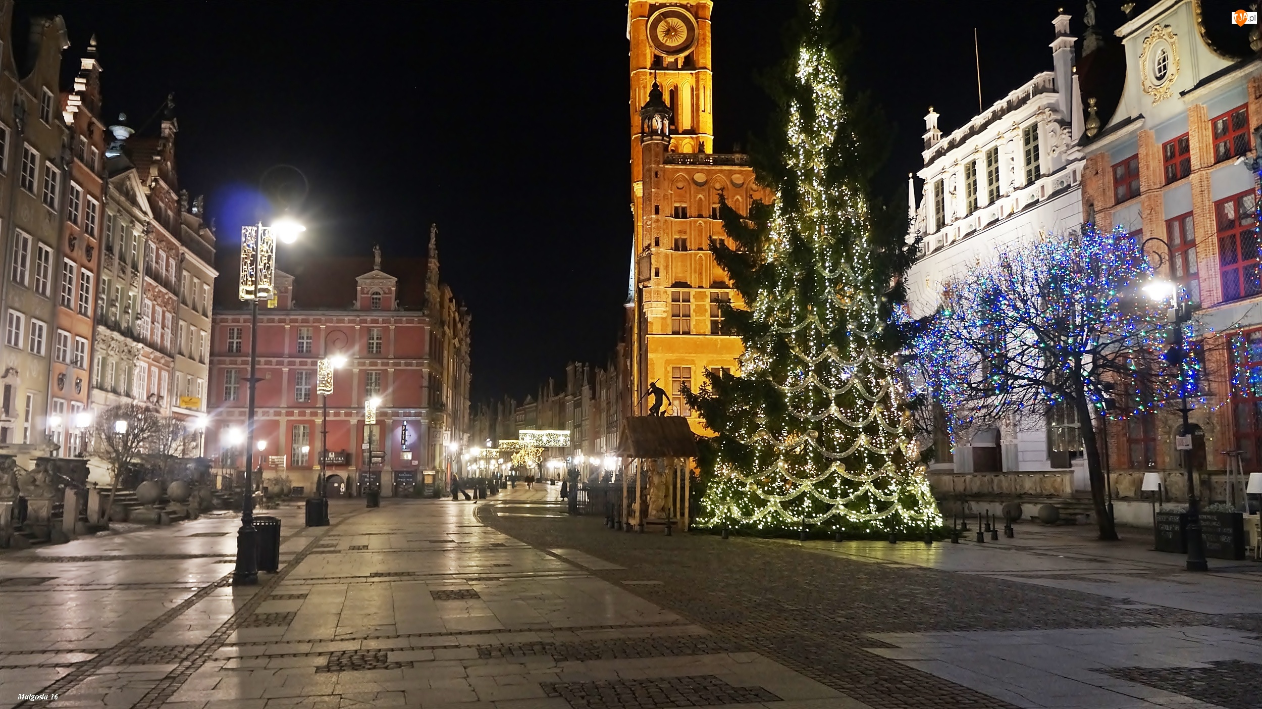 Gdańsk, Miasto, Noc, Latarnie, Choinka, Kamienice