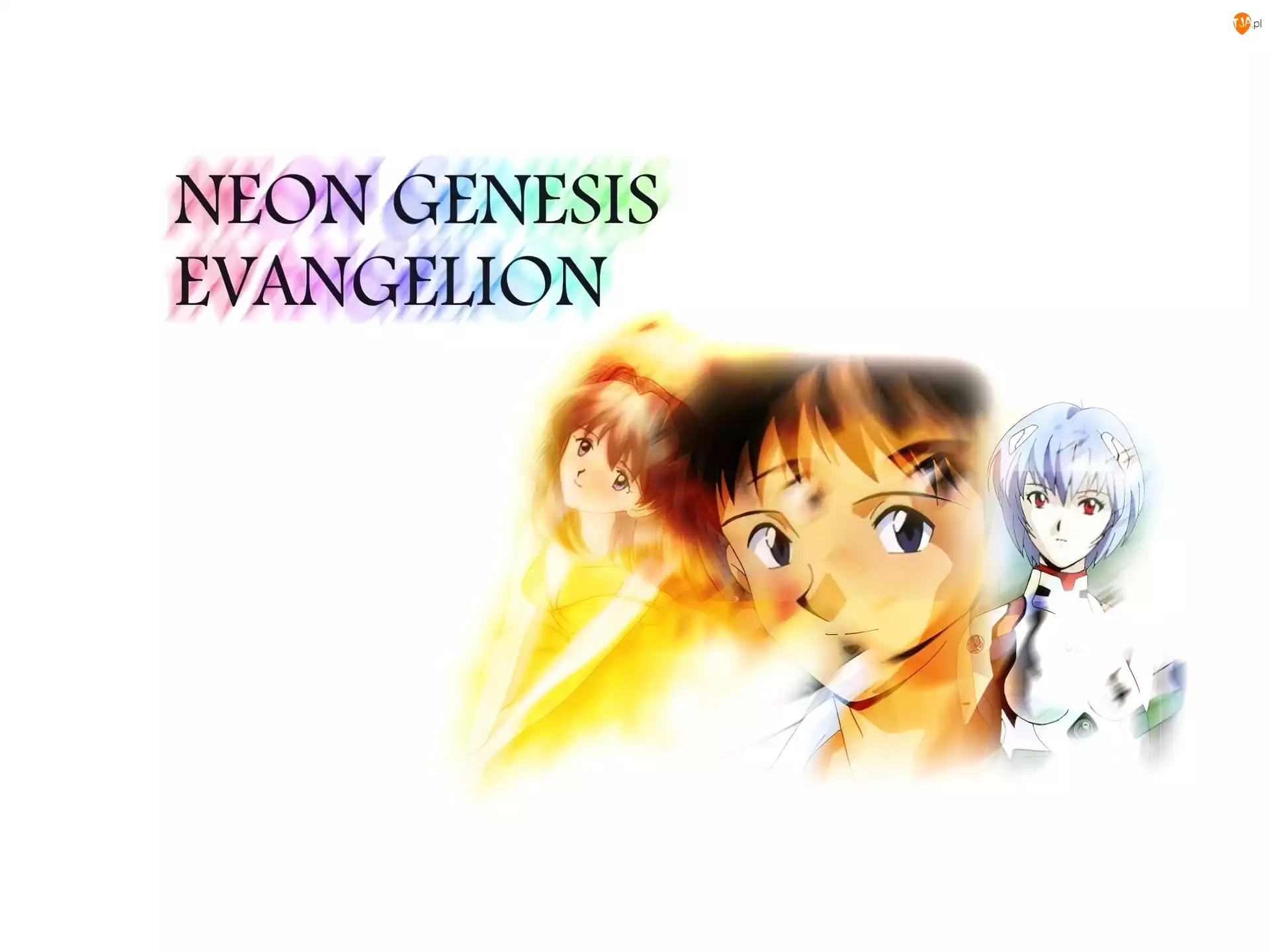 portret, Neon Genesis Evangelion, postacie