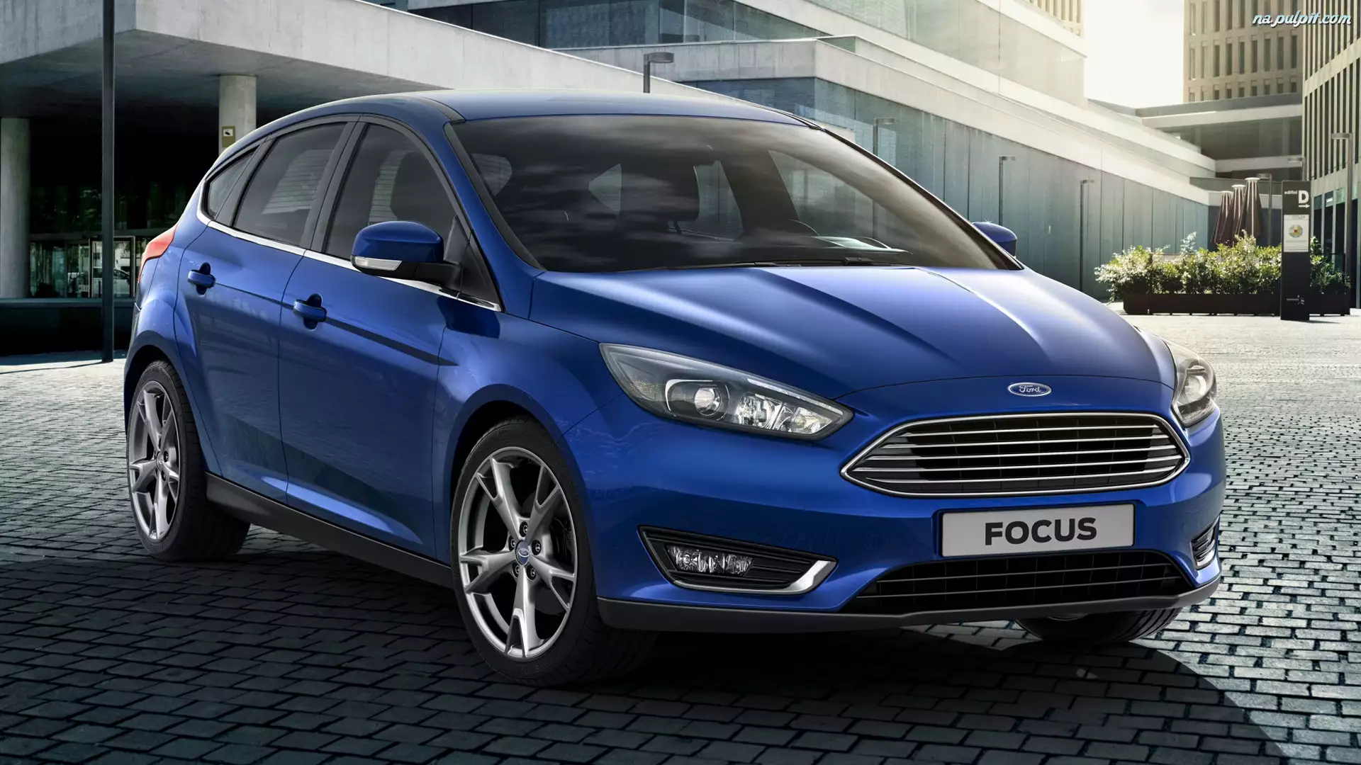 Ford Focus, Niebieski