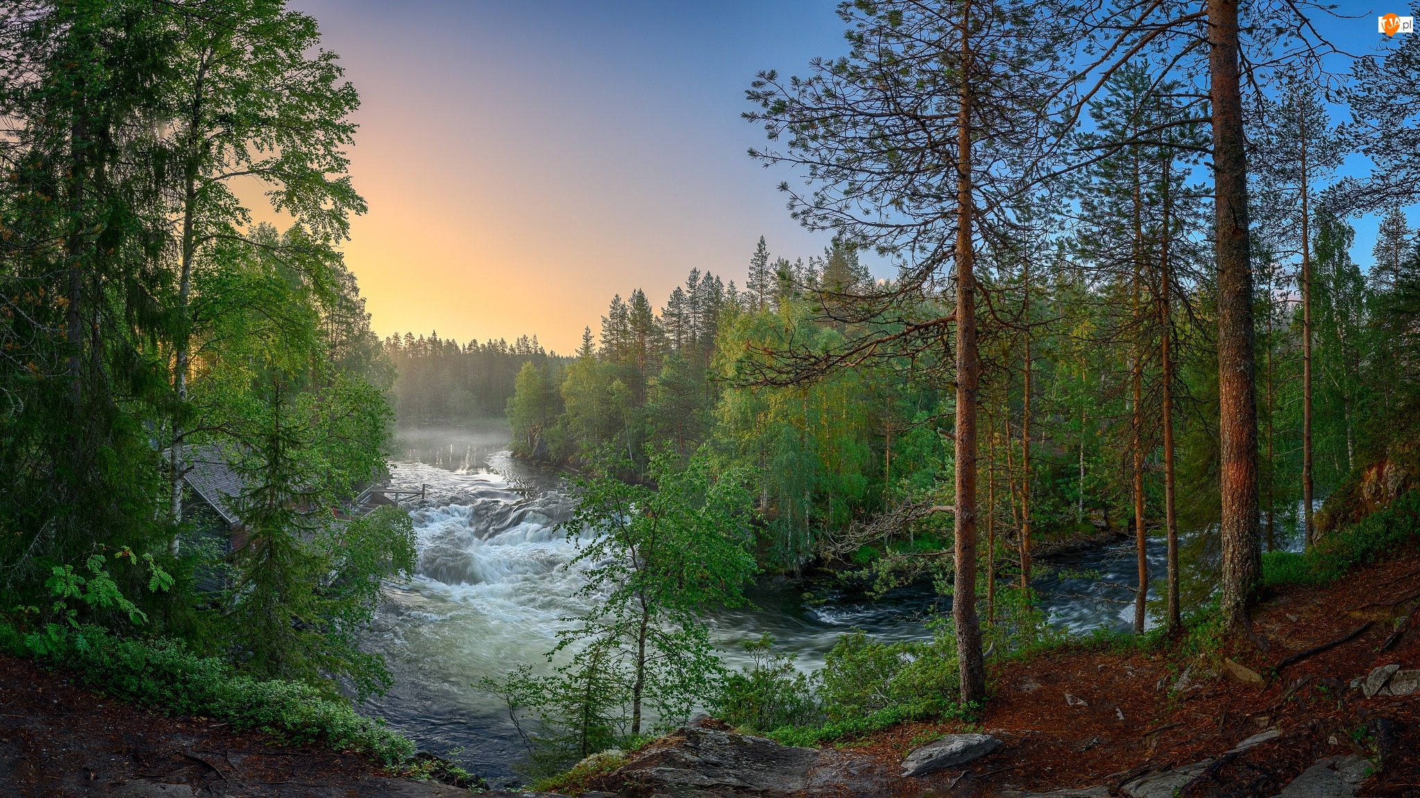 Las, Finlandia, Park Narodowy Oulanka, Rzeka, Laponia, Wiosna, Drzewa, Rzeka Kitkajoki