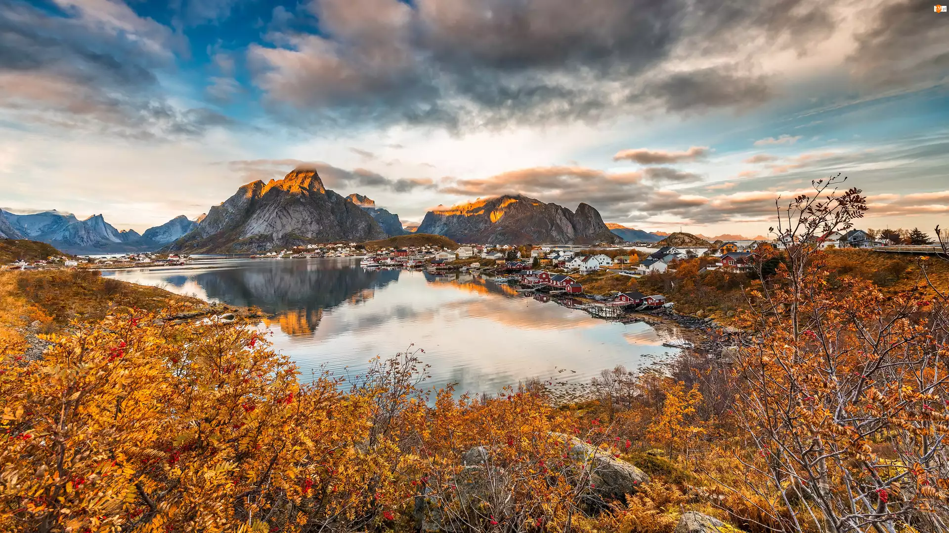 Lofoty, Norwegia, Góry, Morze, Jesień, Drzewa