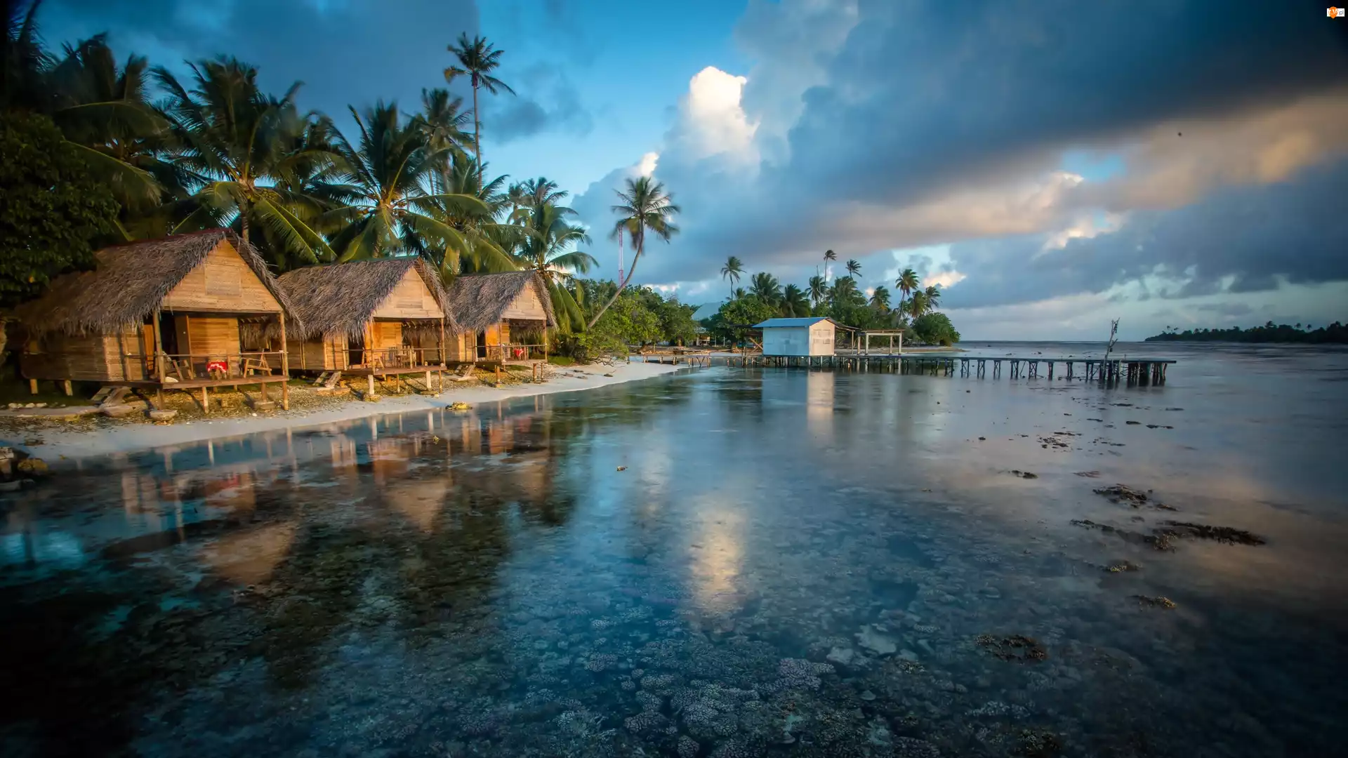Wyspy, Palmy, Ocean, Malediwy, Domki