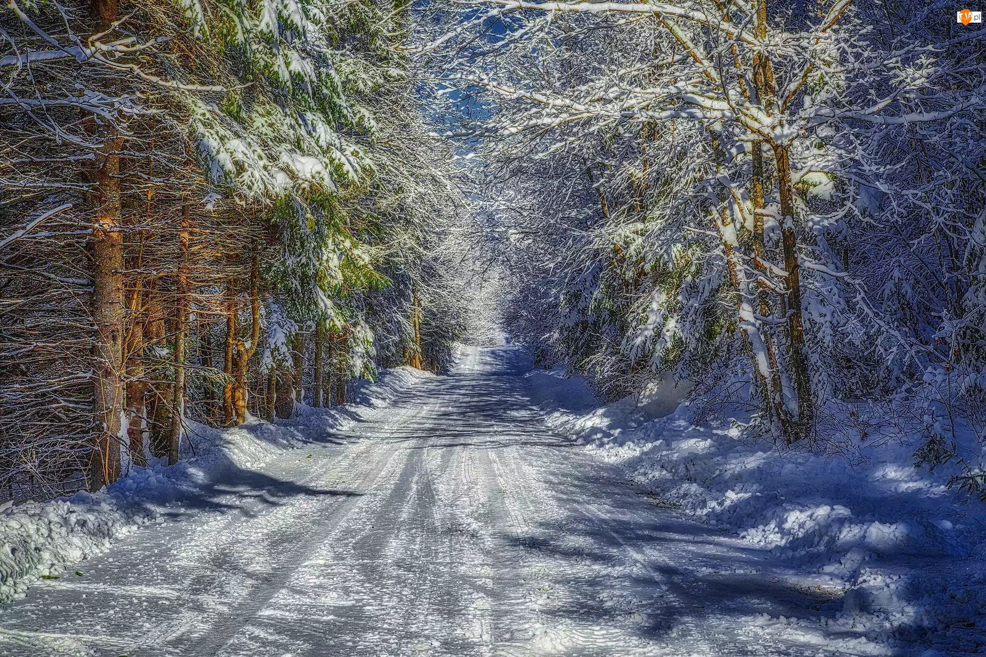 Droga, Drzewa, Las, Zima, Śnieg