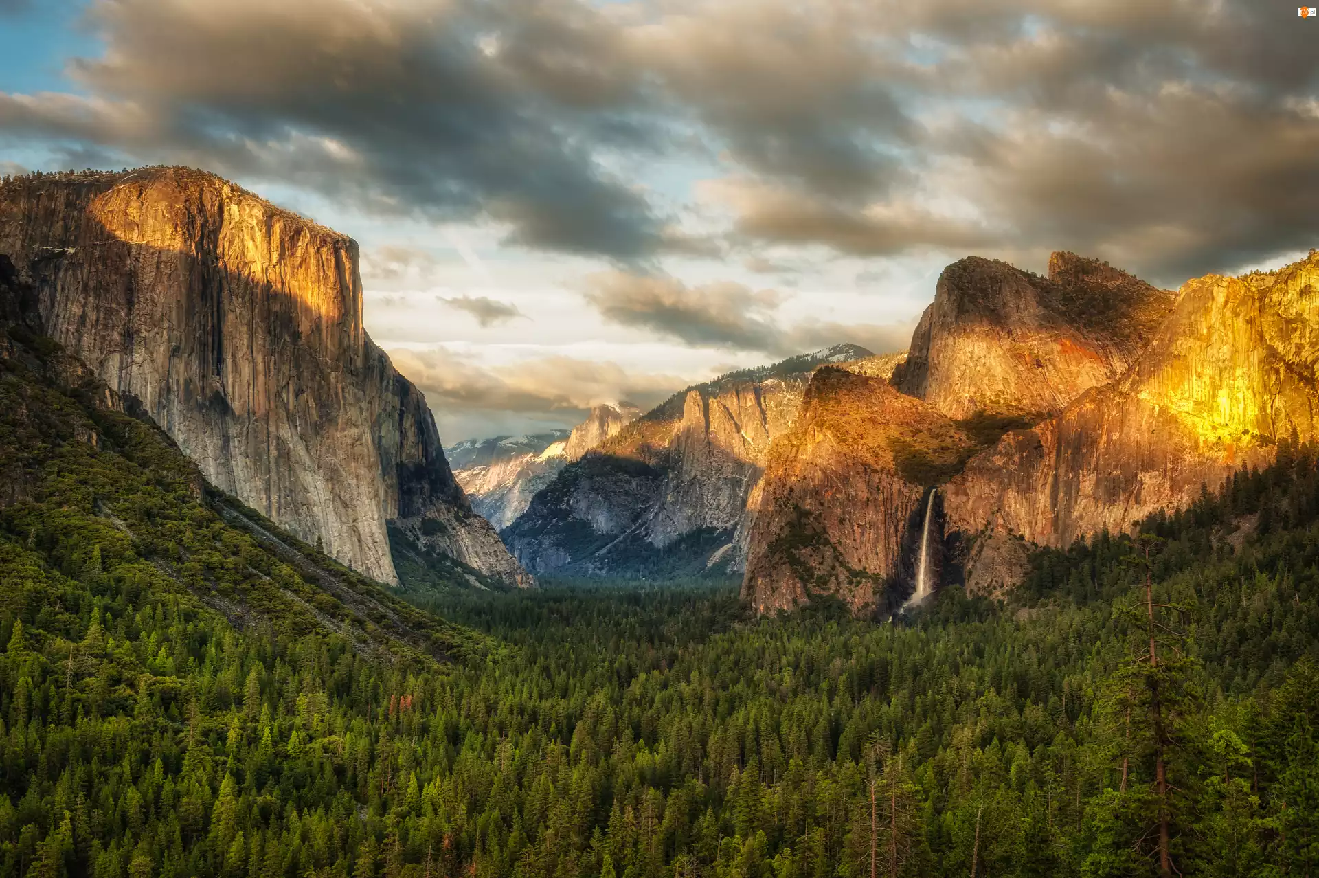 Dolina Yosemite Valley, Drzewa, Stany Zjednoczone, Park Narodowy Yosemite, Stan Kalifornia, Wodospad, Lasy