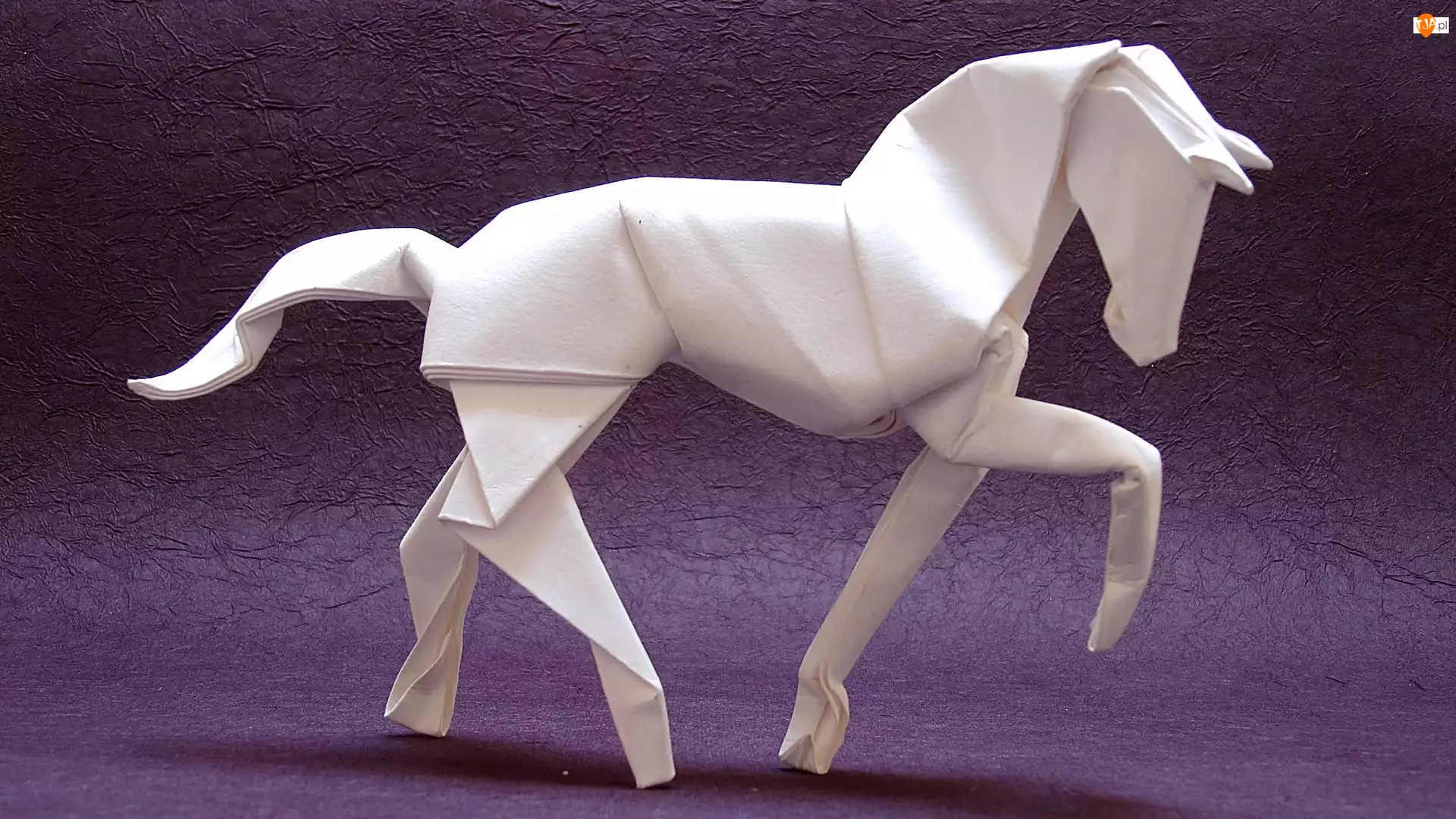 Koń, Origami