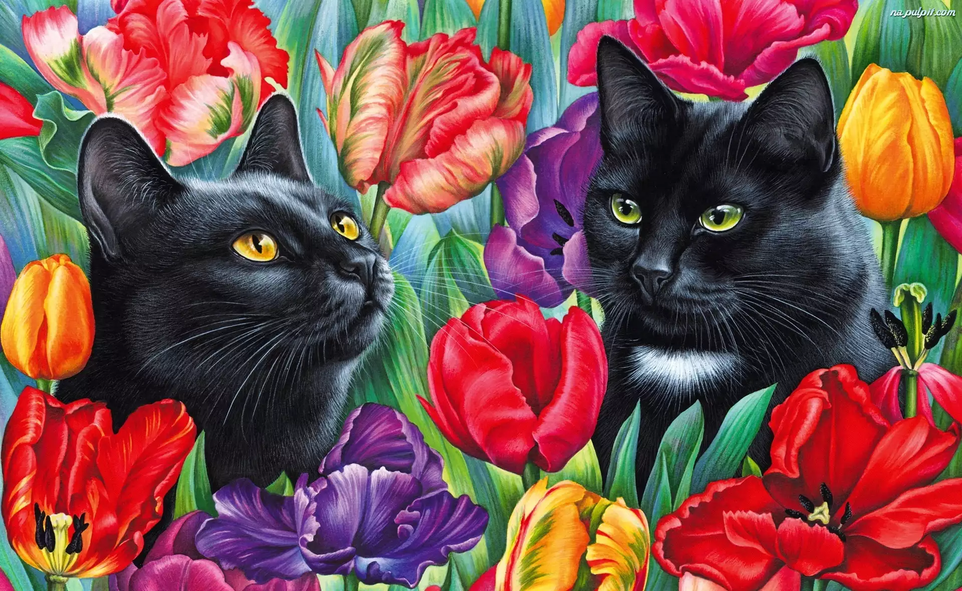 Rysunek, Czarne, Koty, Tulipany