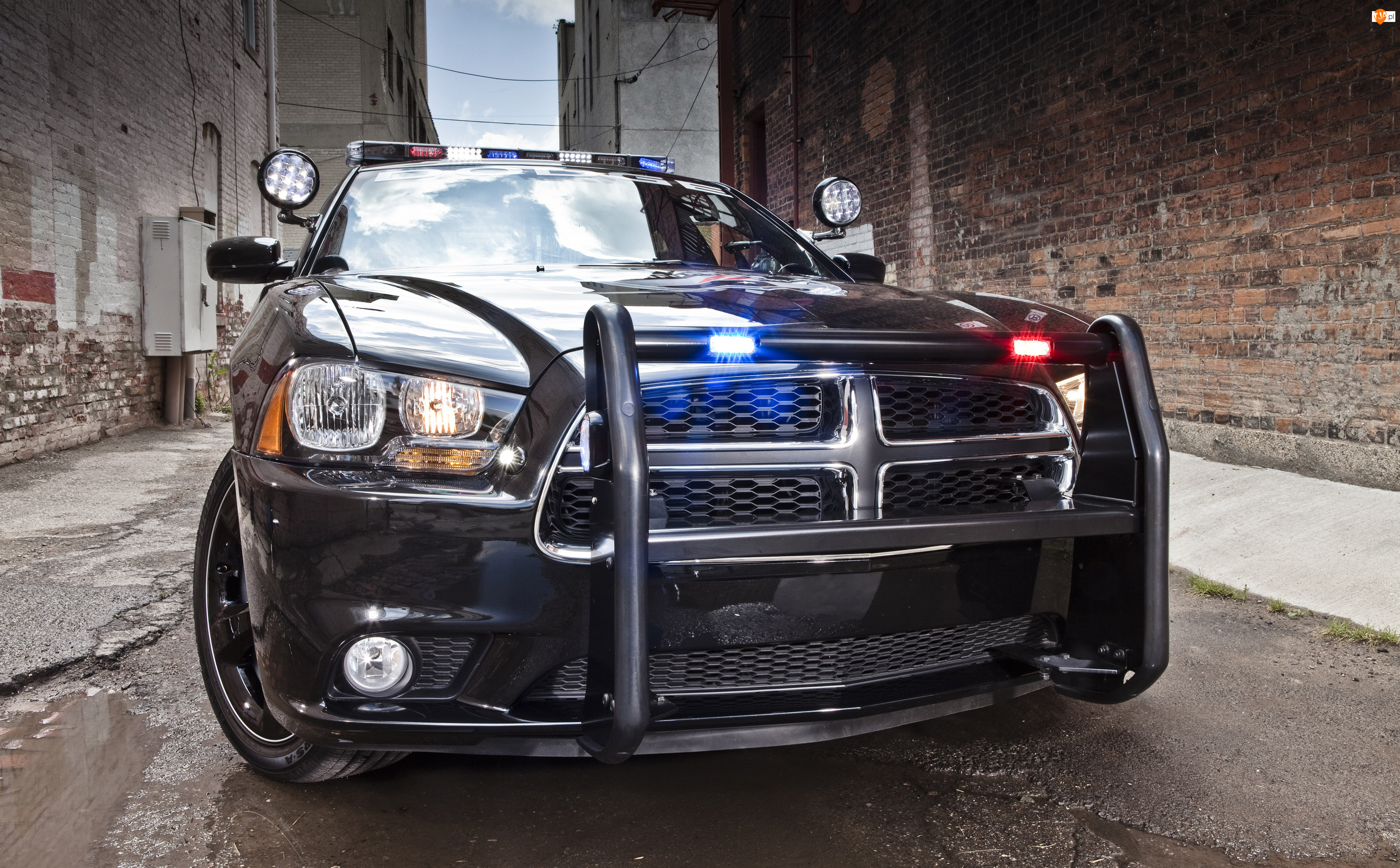 2014, Samochód, Policyjny, Dodge Charger Pursuit