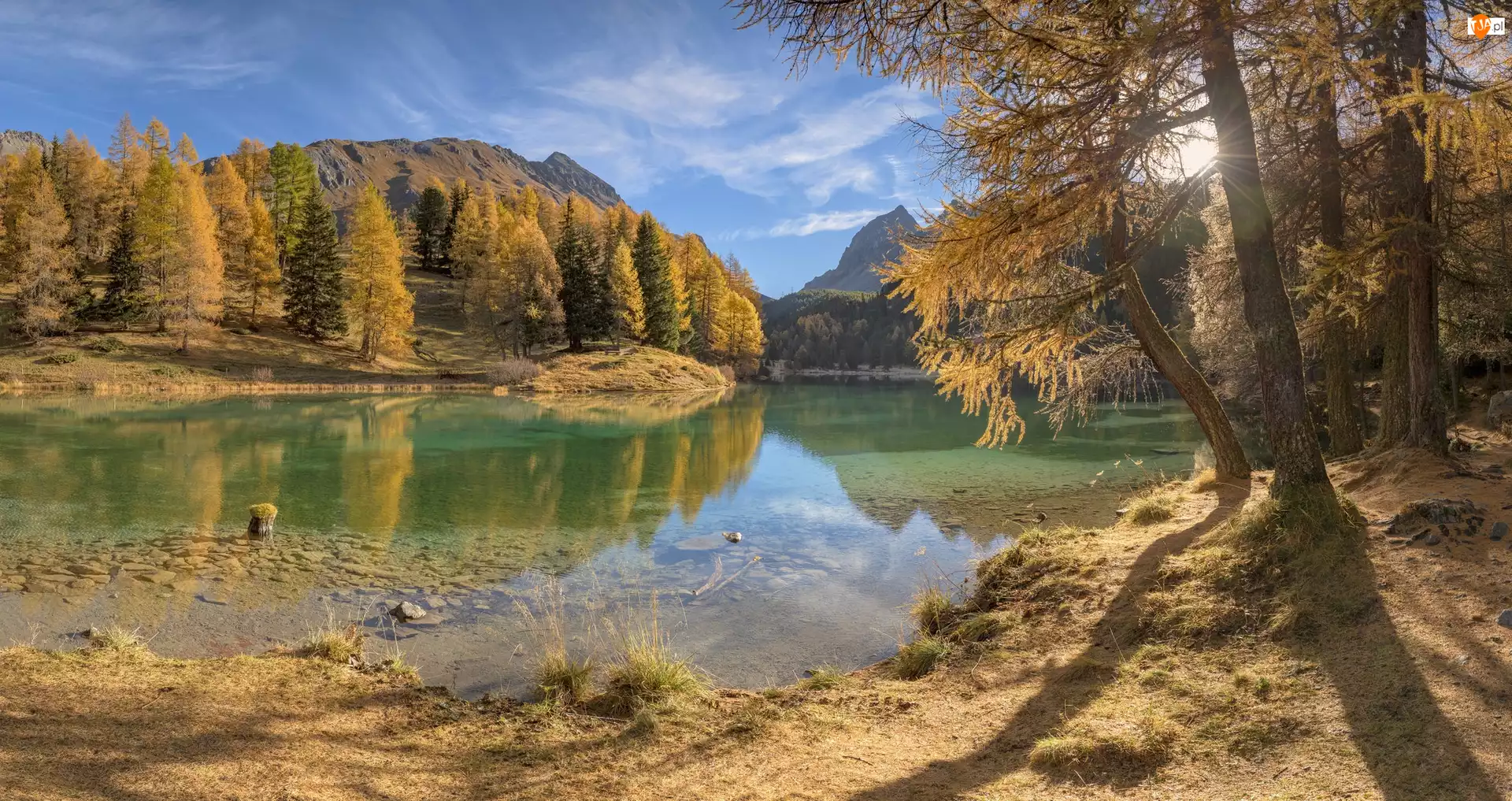 Jesień, Jezioro Lai da Palpuogna, Modrzewie, Kanton Gryzonia, Góry, Drzewa, Szwajcaria, Alpy Retyckie