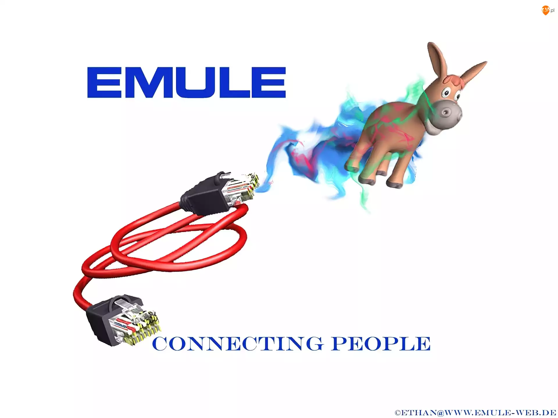 Emule, osioł, kabel