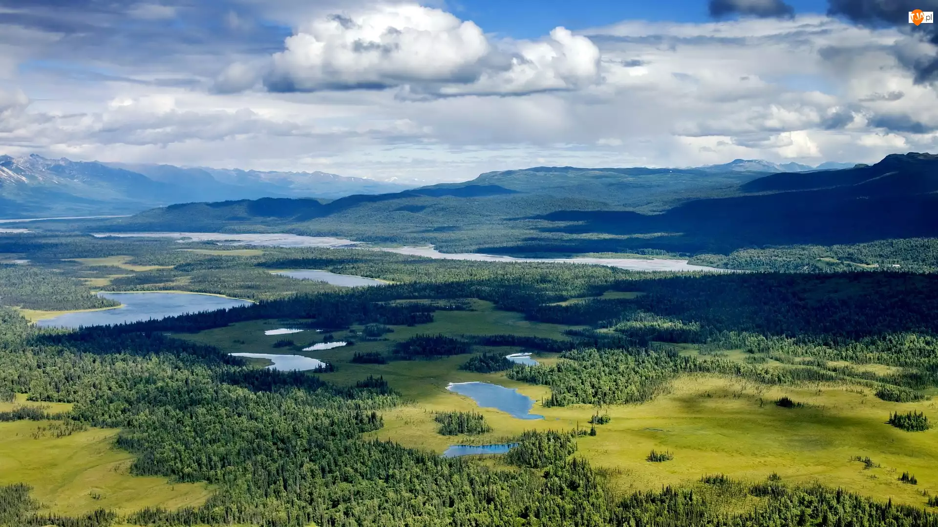 Góry, Park Narodowy Denali, Lasy, Stany Zjednoczone, Jeziora, Alaska
