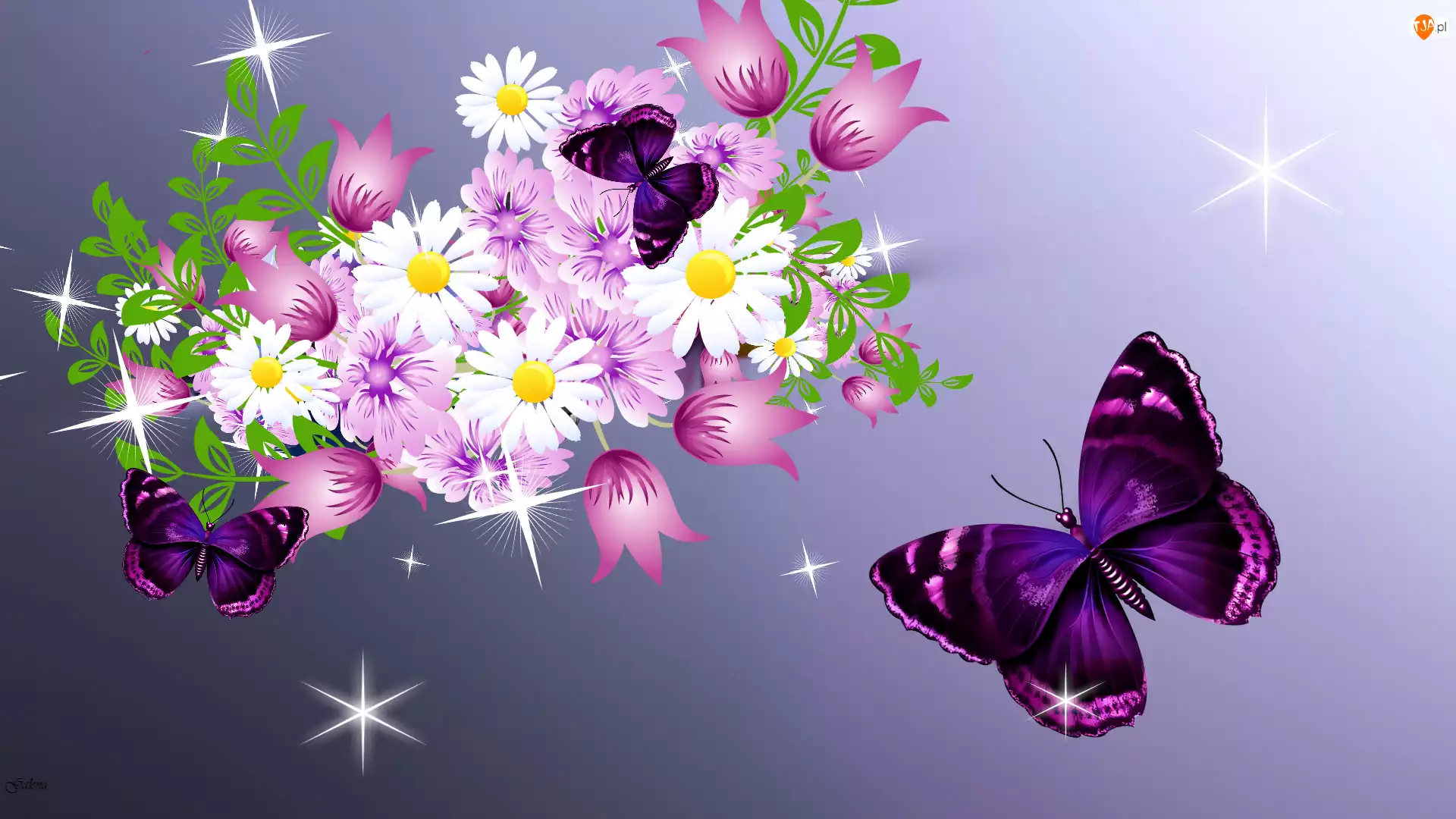 Grafika 2D, Kwiaty, Motyle