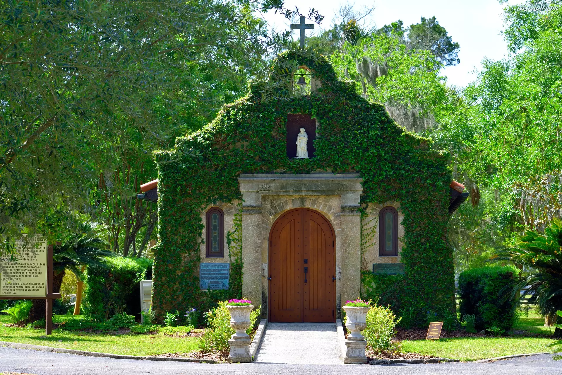 Saint Augustine, Stany Zjednoczone, Drzewa, Kaplica Matki Boskiej Karmiącej, Floryda
