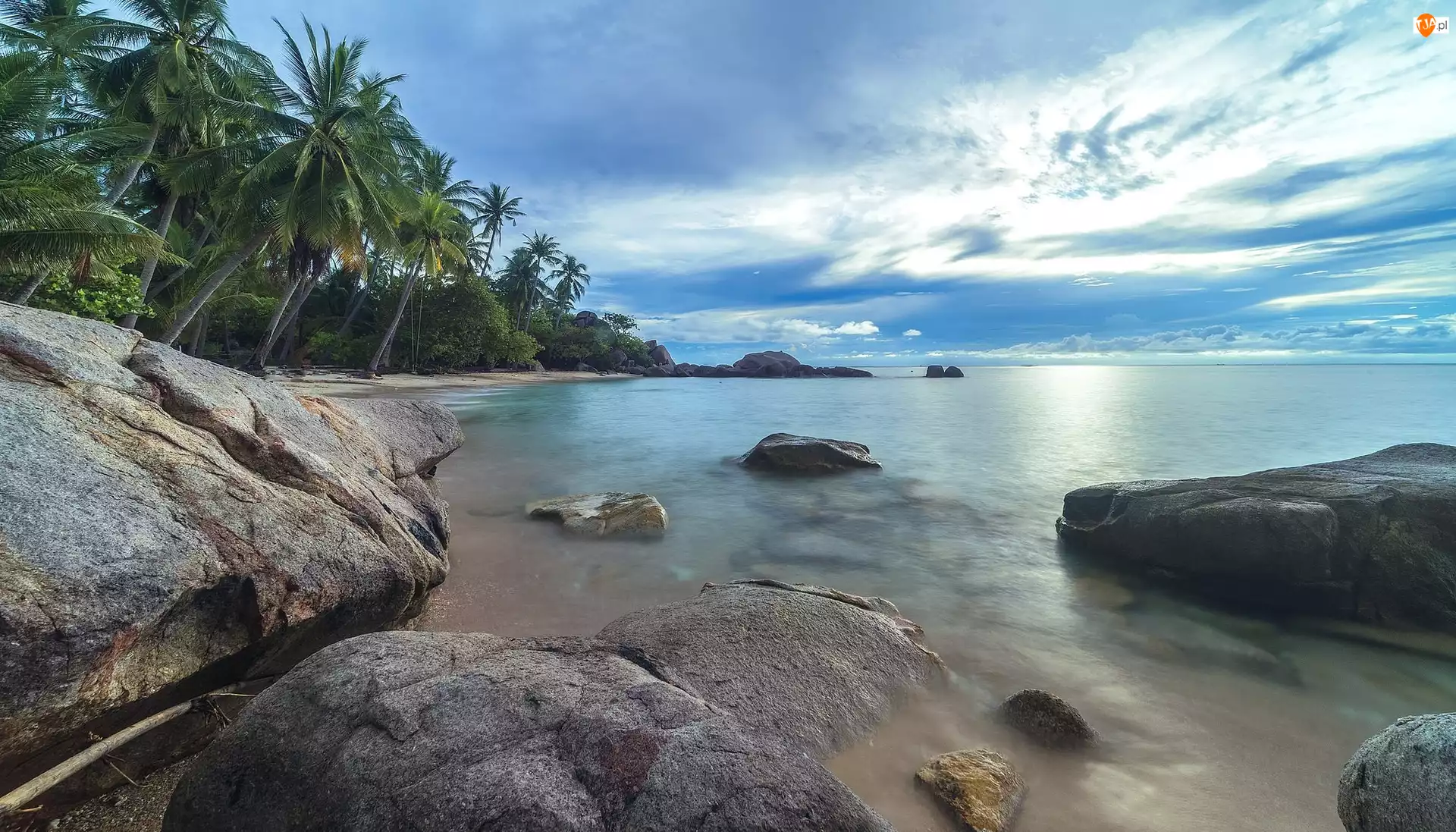 Morze, Tajlandia, Prowincja Surat Thani, Kamienie, Ocean Spokojny, wyspa Ko Tao, Palmy, Zatoka Tajlandzka