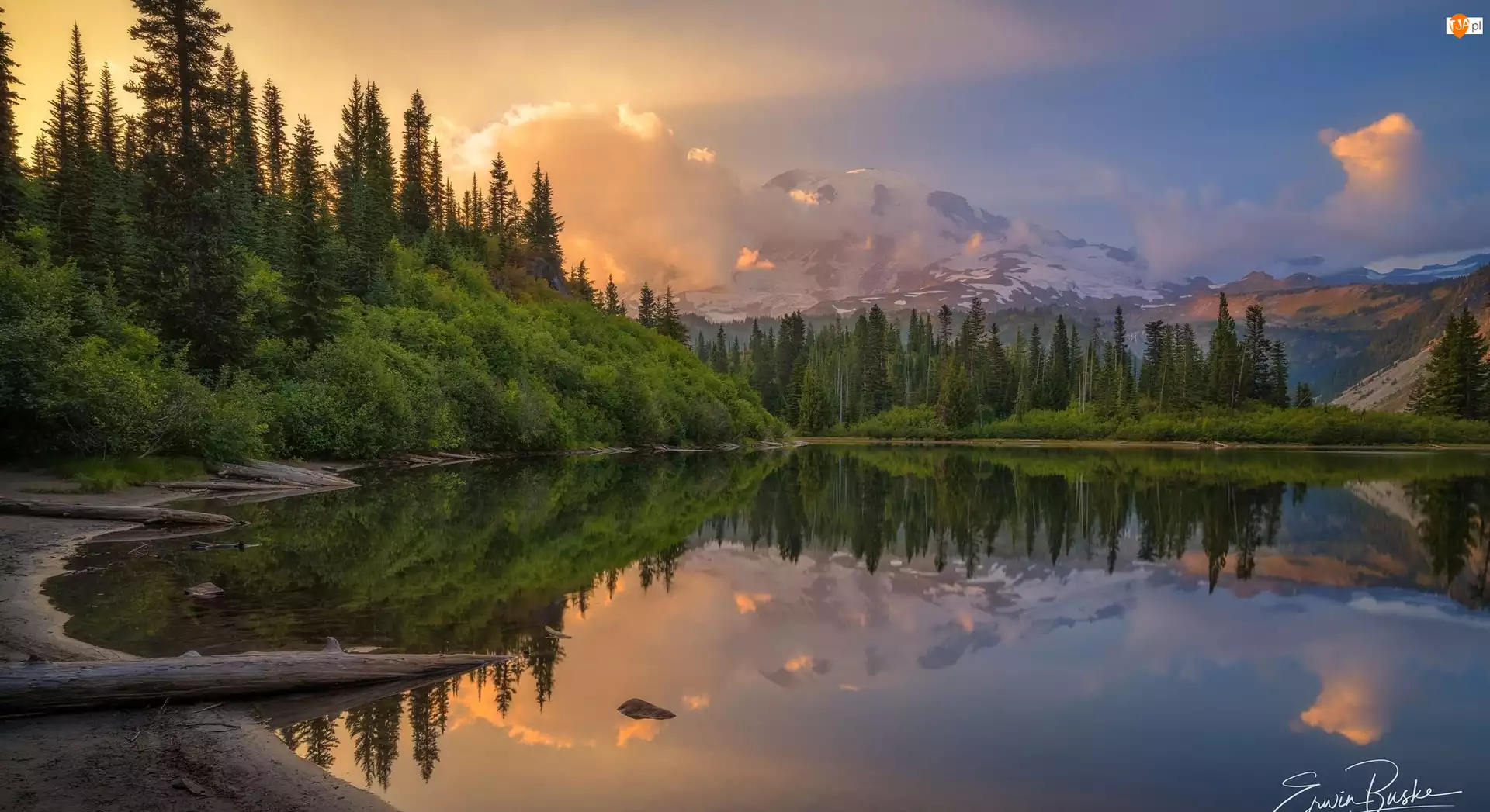 Góry, Drzewa, Stany Zjednoczone, Jezioro, Stan Waszyngton, Park Narodowy Mount Rainier, Las