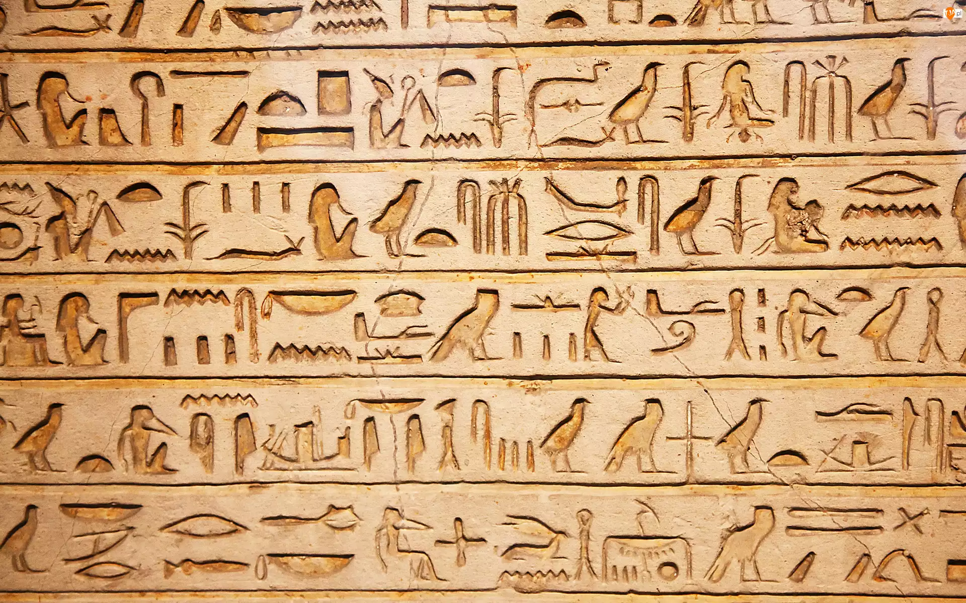 Hieroglify, Egipskie, Pismo