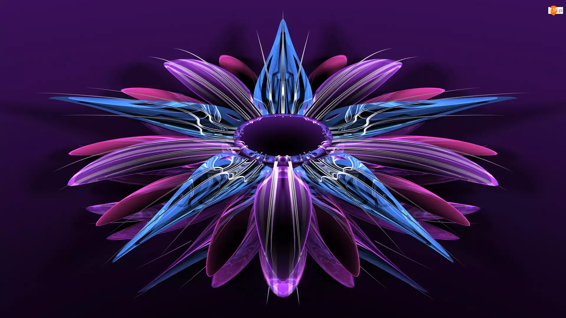 Kwiat, Grafika 3D, Fioletowo-niebieski